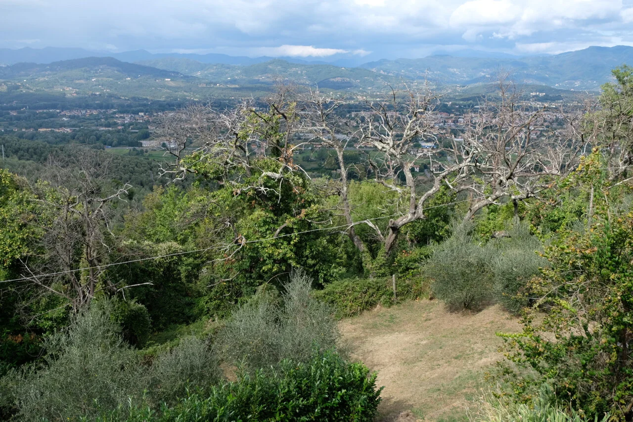 DSCF5925.jpg