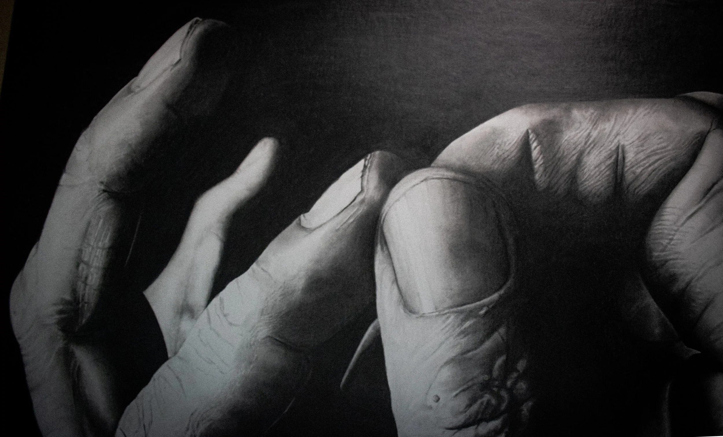 Detail - Delicately Tough