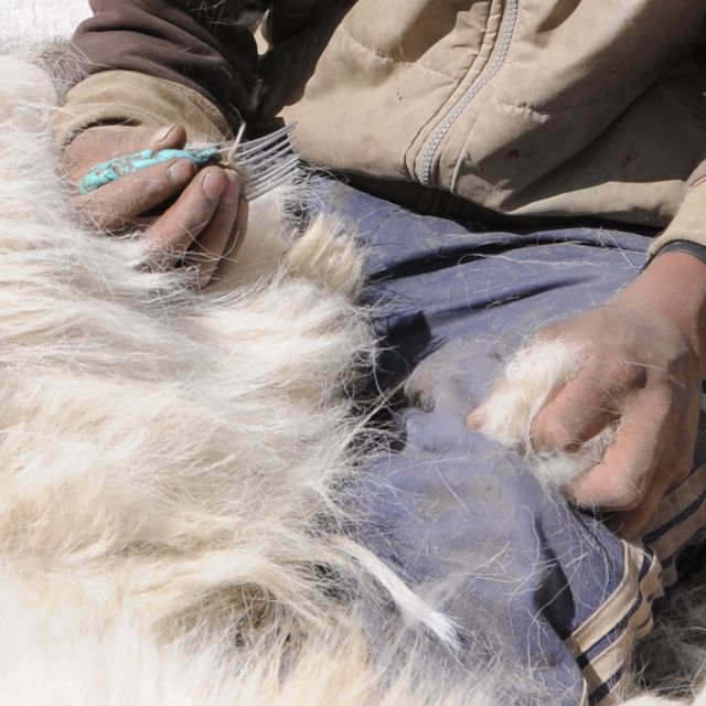 Combing the wool