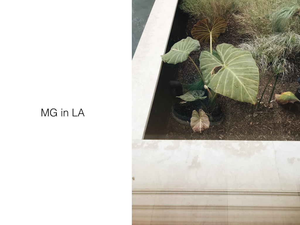 Mansur Graviel West Hollywood by Naomi Yamada