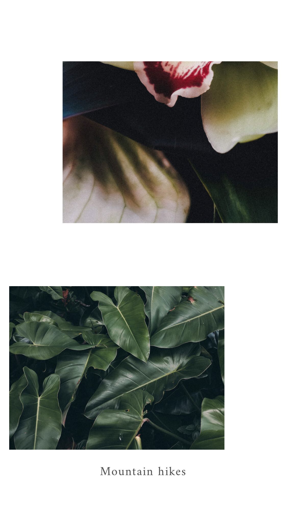 image4.jpeg