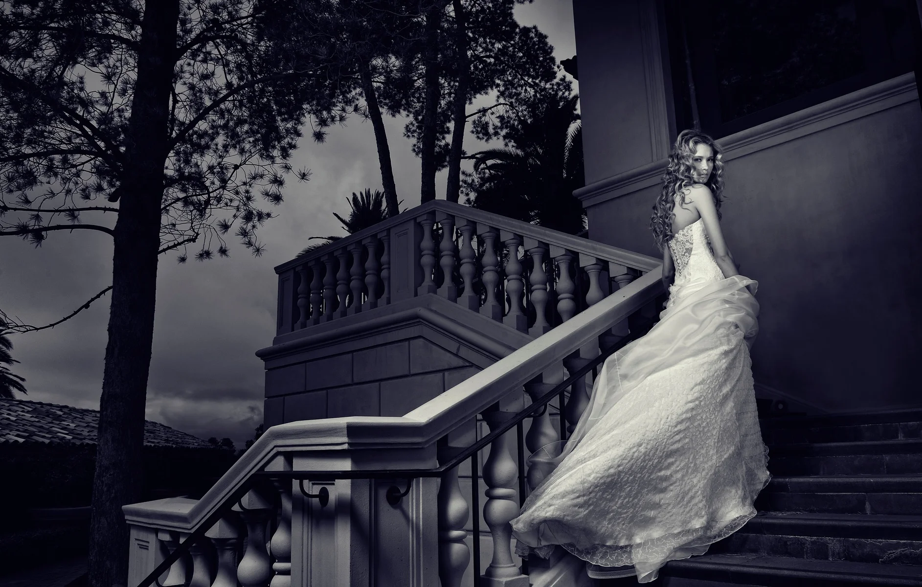 181146.jpg