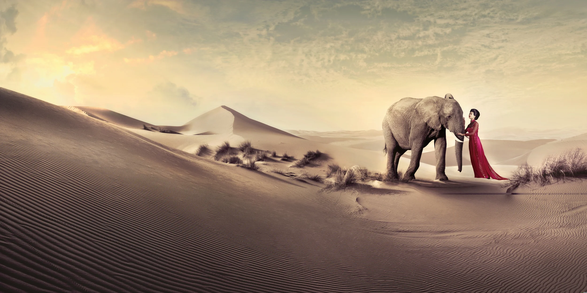 VB_Tet_Elephant_v4finalsize.jpg