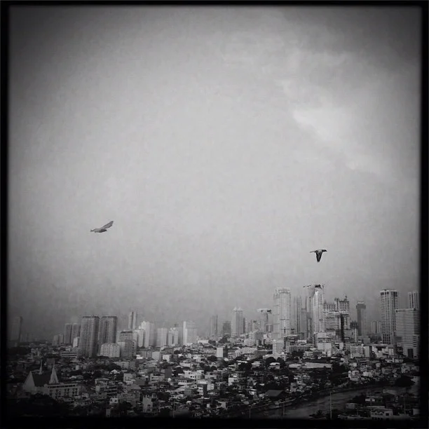 Everybody wishes they were as free as the birds. But even they are tied to the skies (Taken with Instagram at Adoboland)