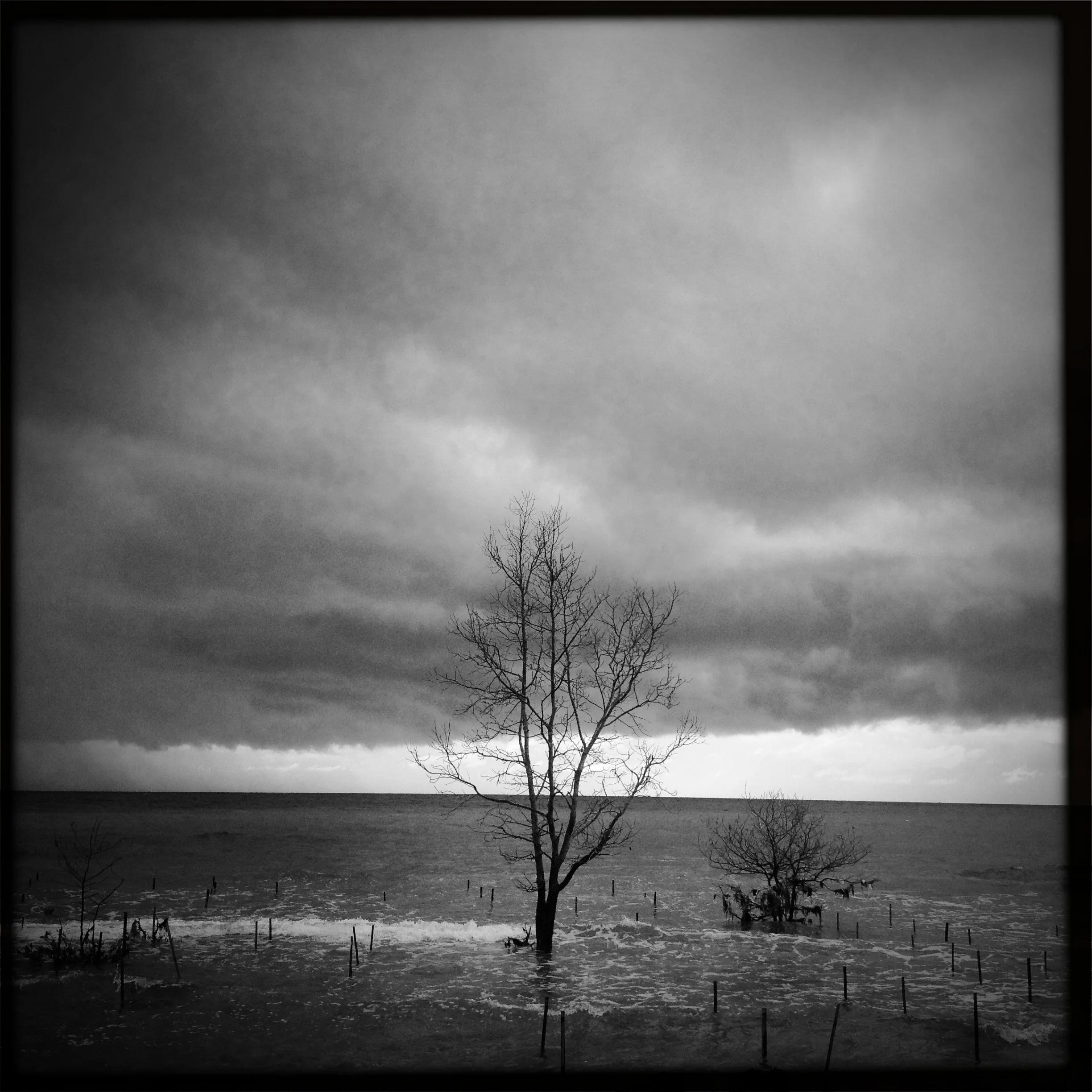  Tungkung Langit - A Lullaby for a Storm     