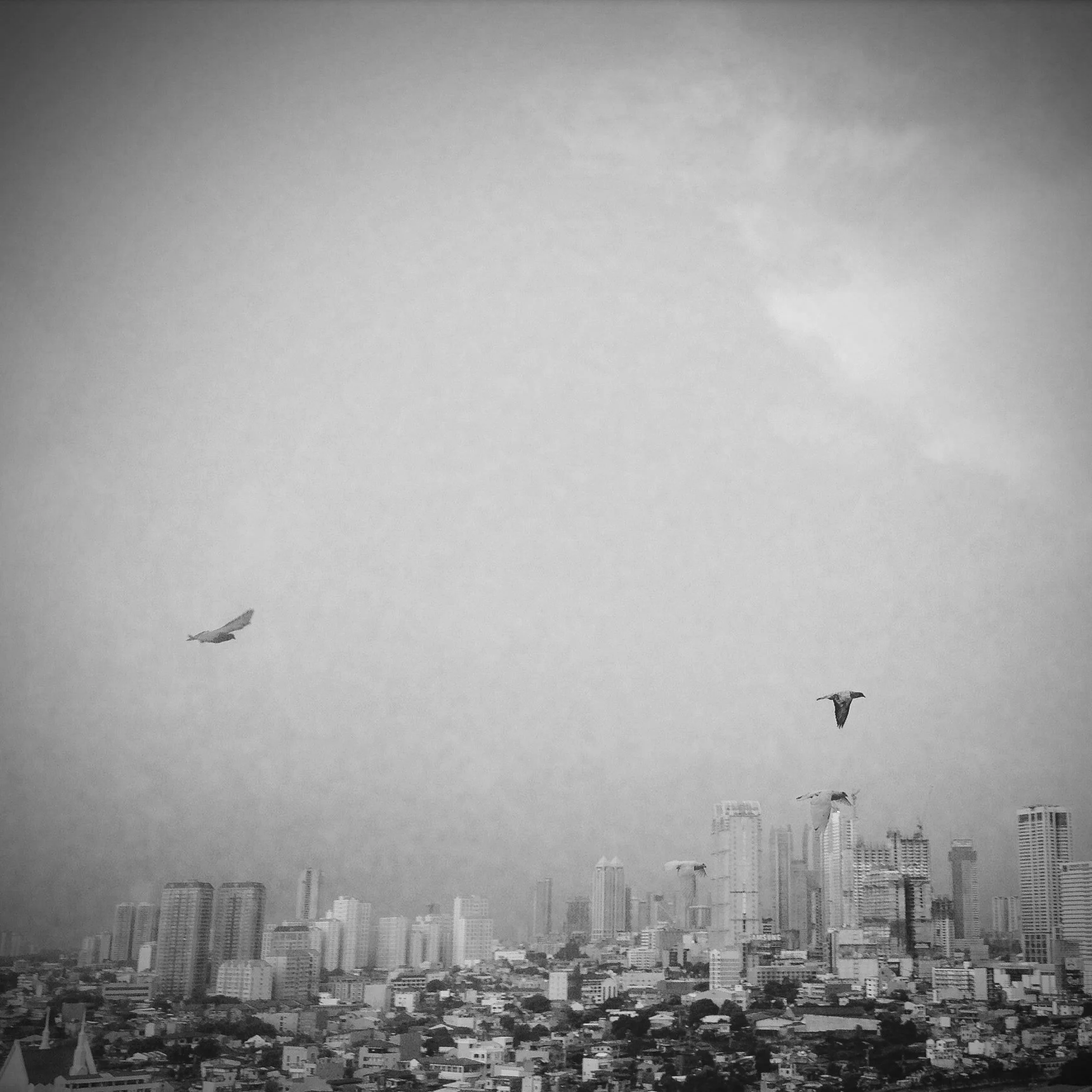 Photos - 00931-Edit.jpg