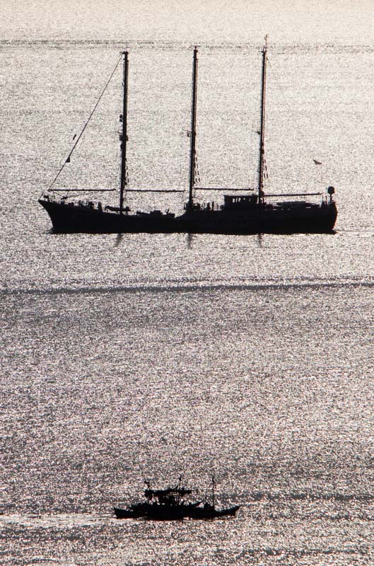 Greenpeace10967_2010_ForWeb.jpg