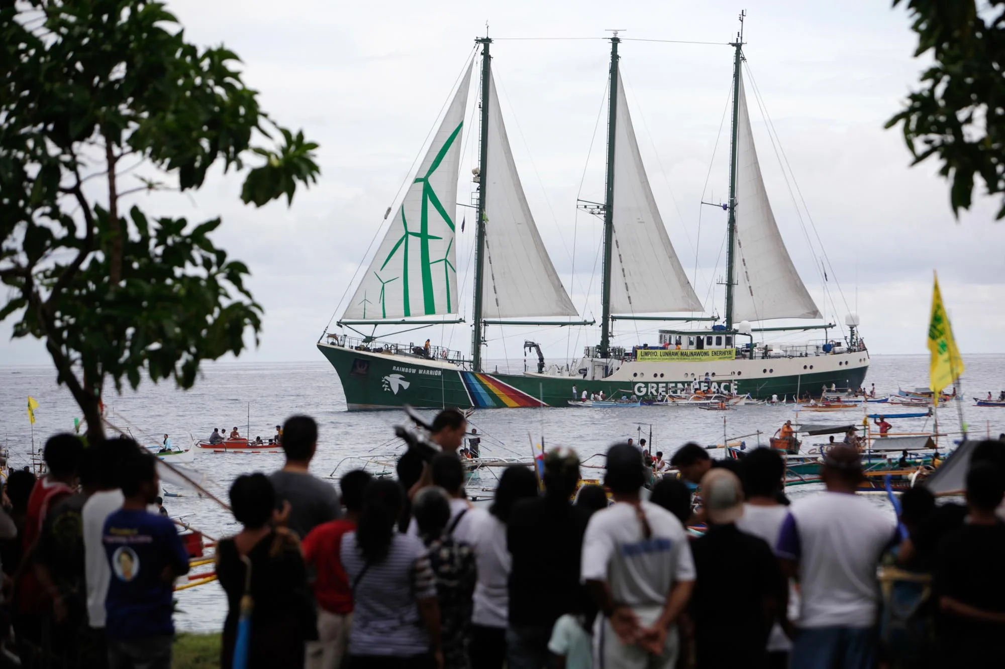 Greenpeace11390_2010_ForWeb.jpg