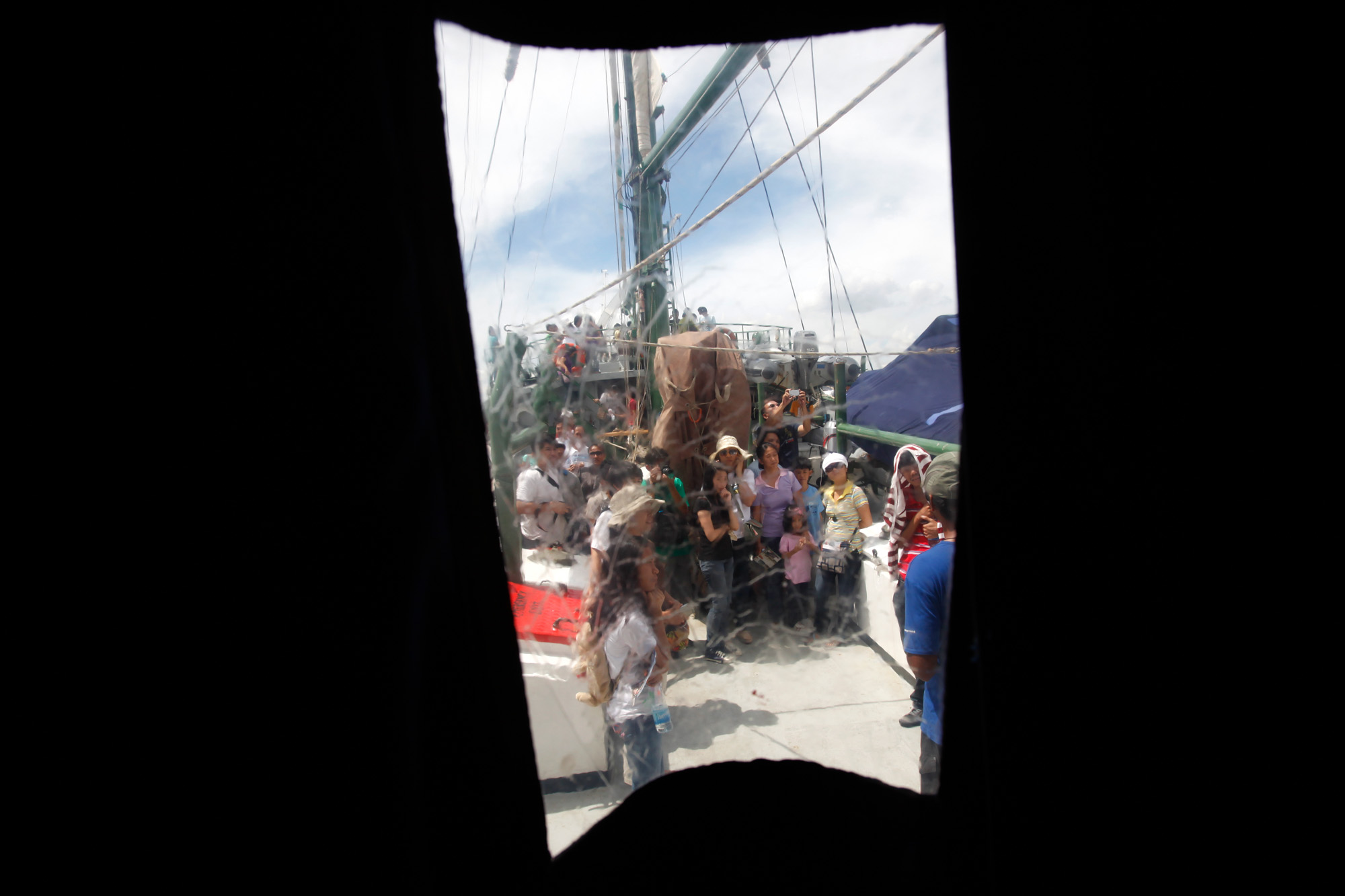 Greenpeace11419_2010_ForWeb.jpg