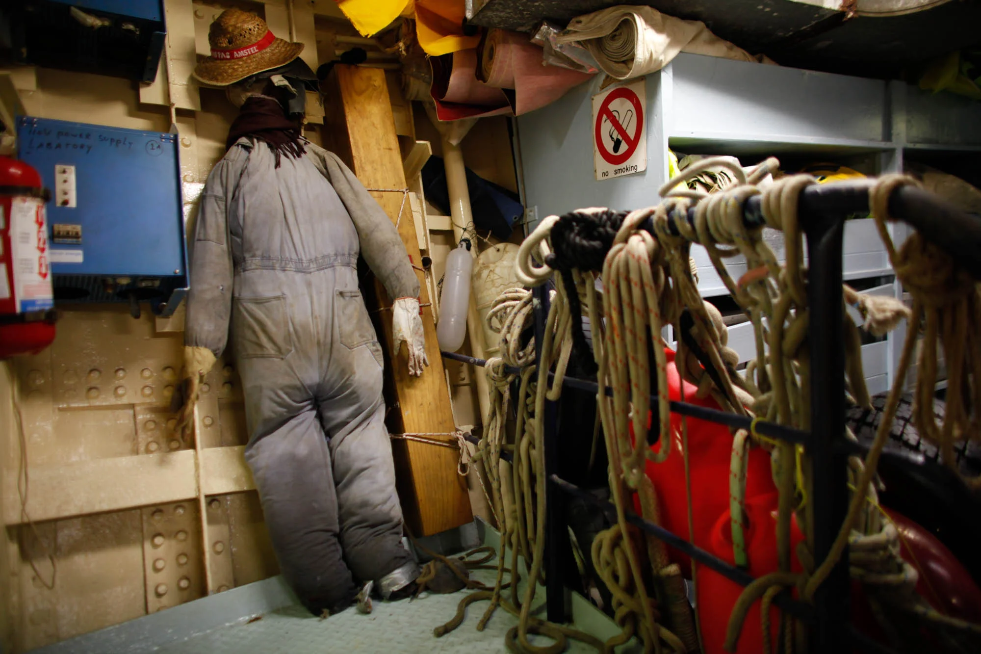 Greenpeace11556_2010_ForWeb.jpg