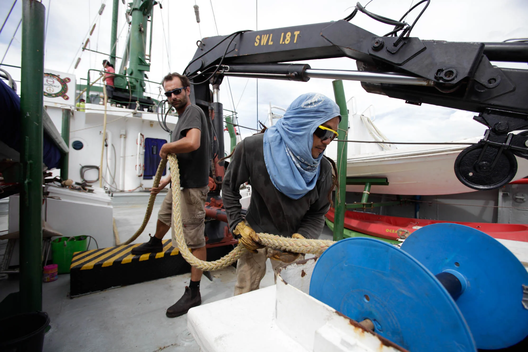 Greenpeace11556A_2010_ForWeb.jpg
