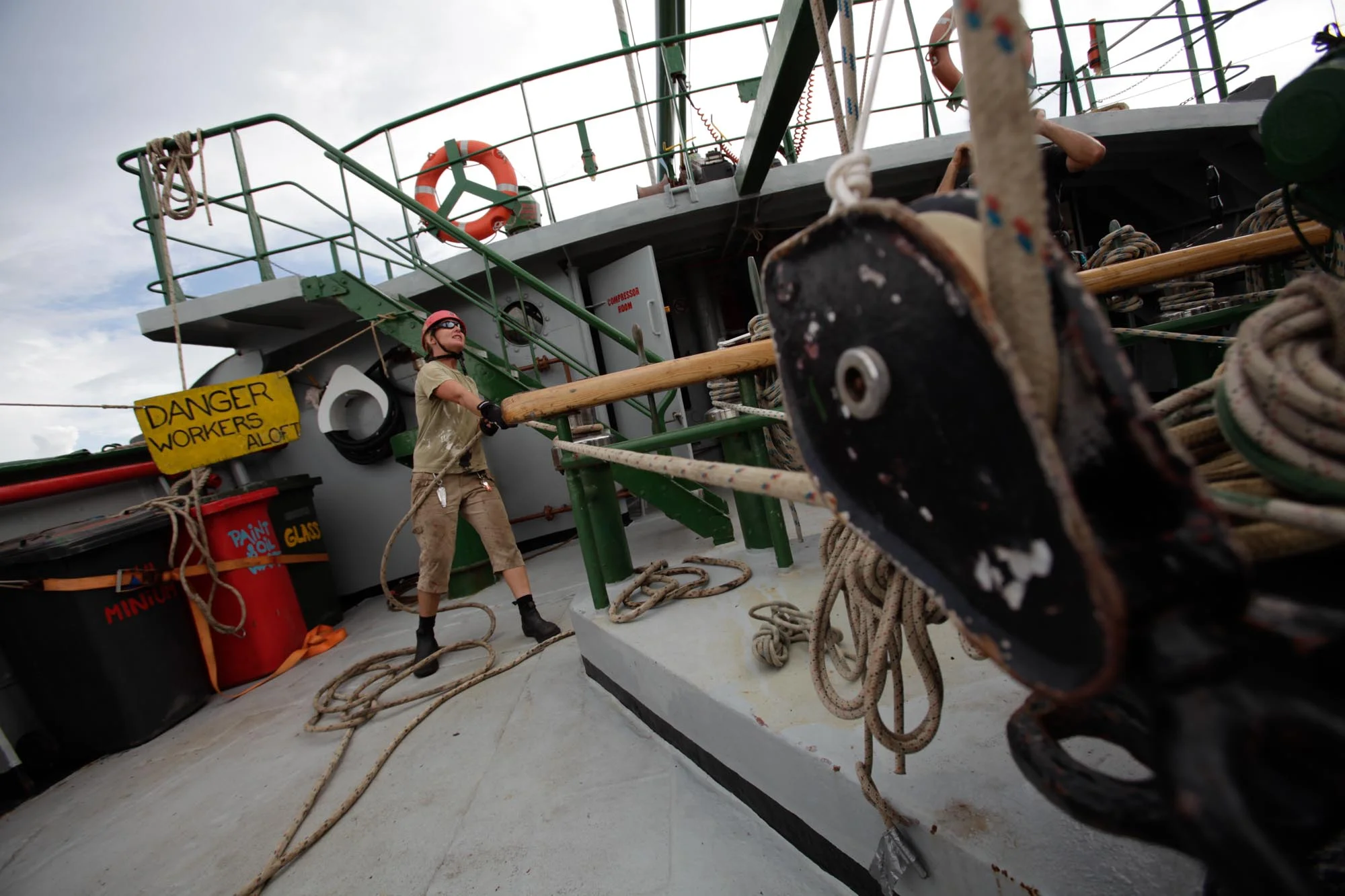 Greenpeace11614_2010_ForWeb.jpg