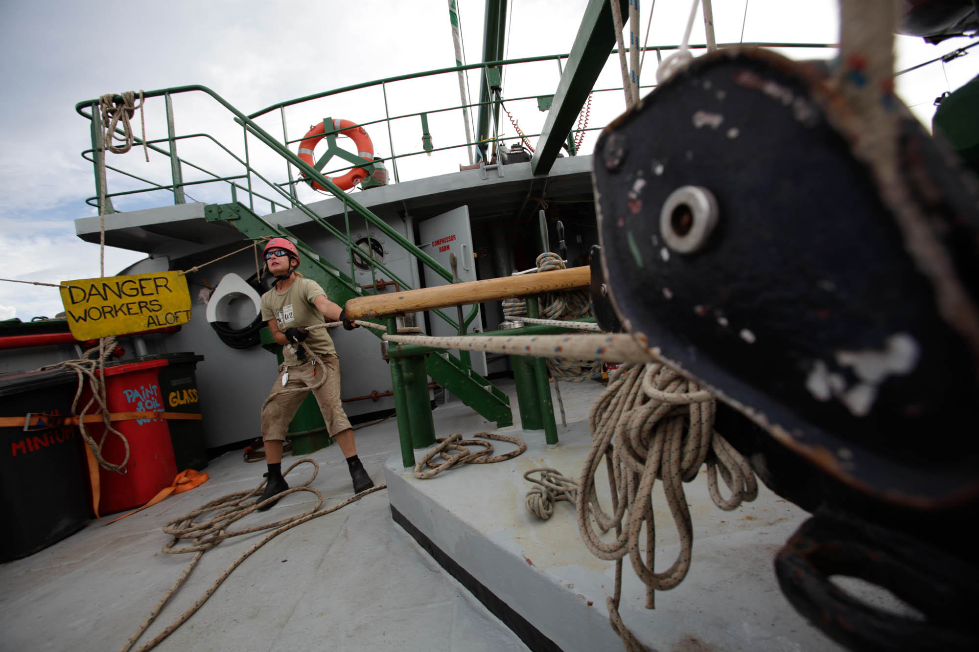 Greenpeace11616_2010_ForWeb.jpg