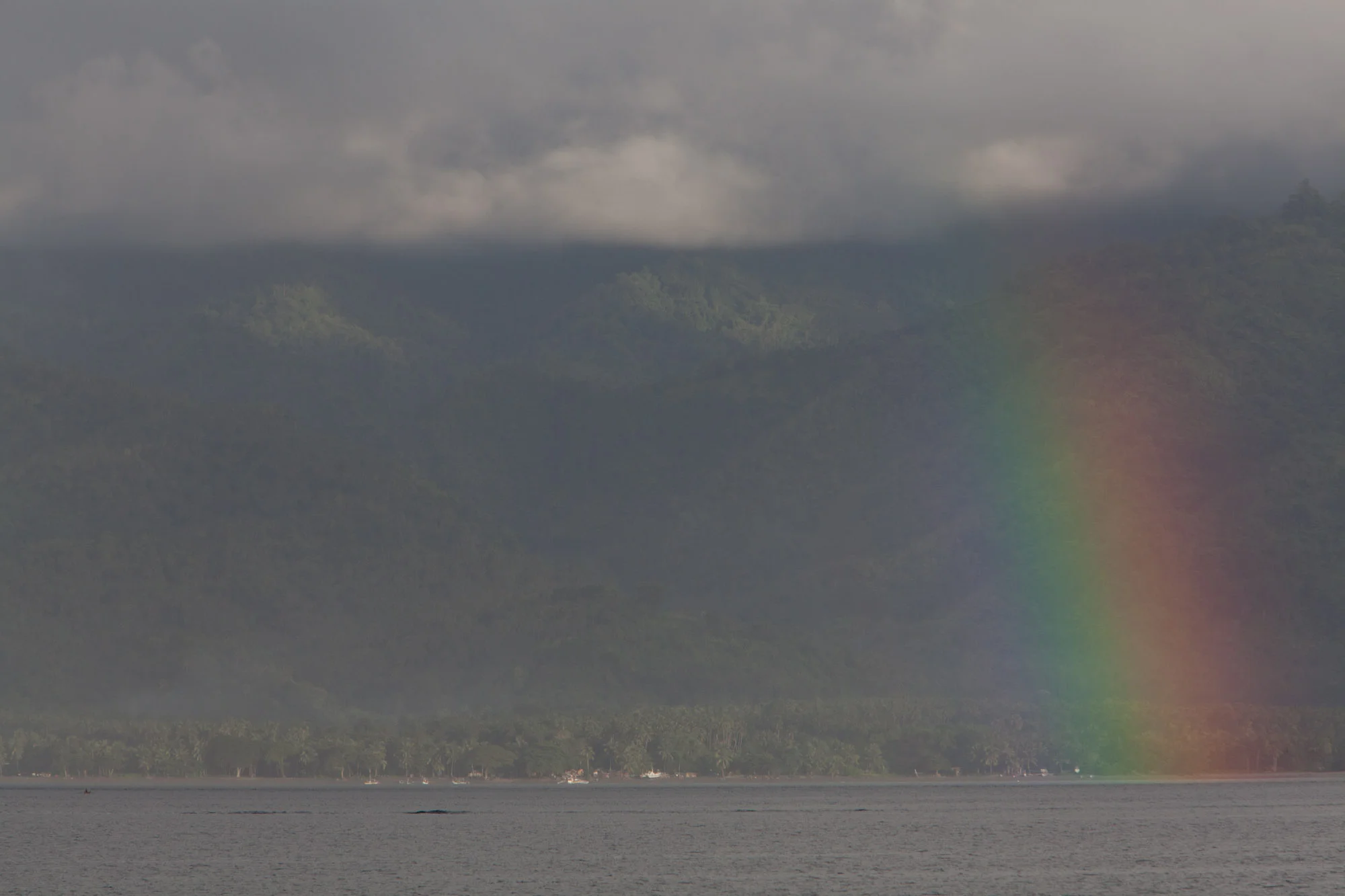 Greenpeace12028_2010_ForWeb.jpg