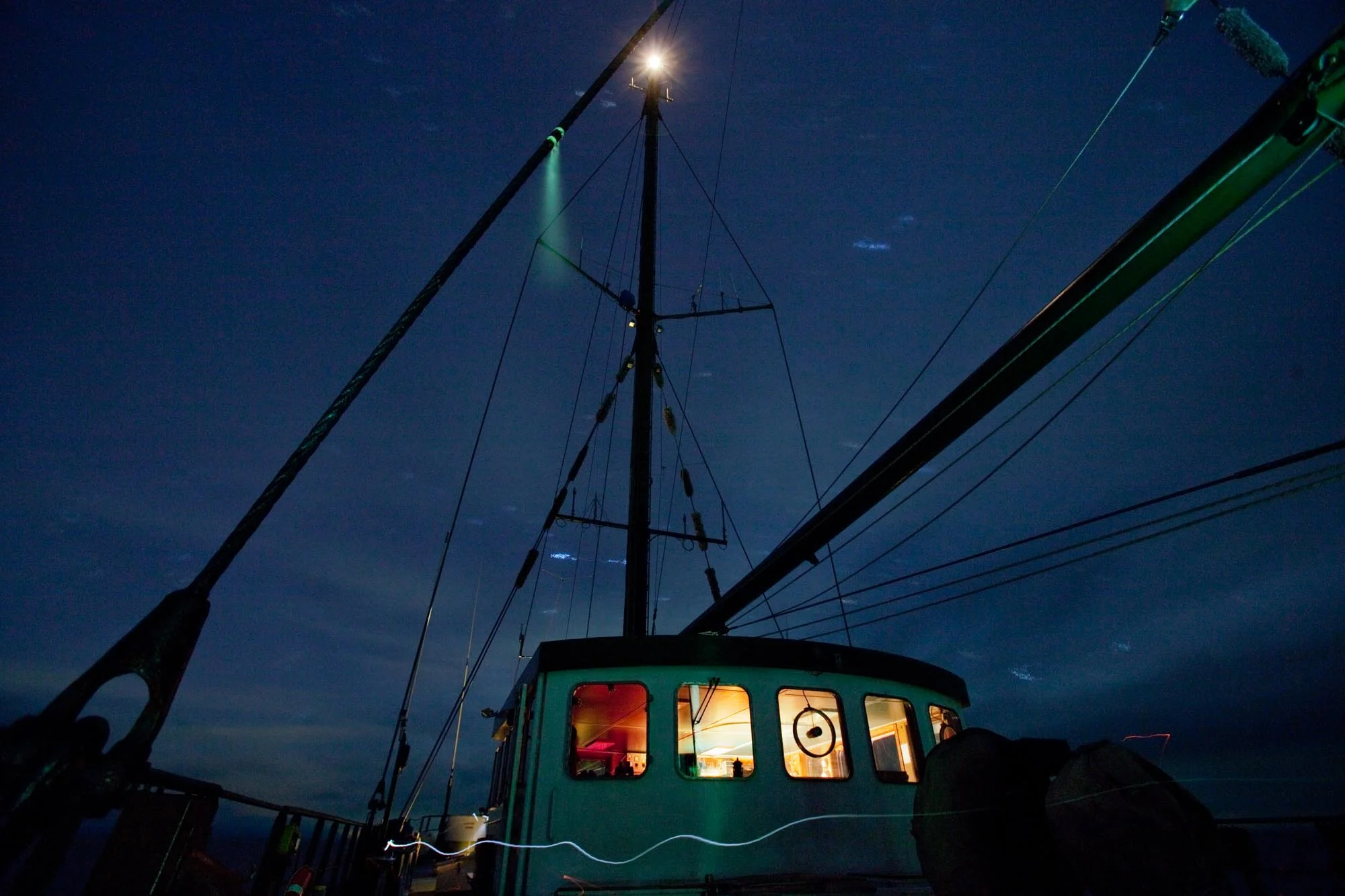 Greenpeace12176_2010_ForWeb.jpg