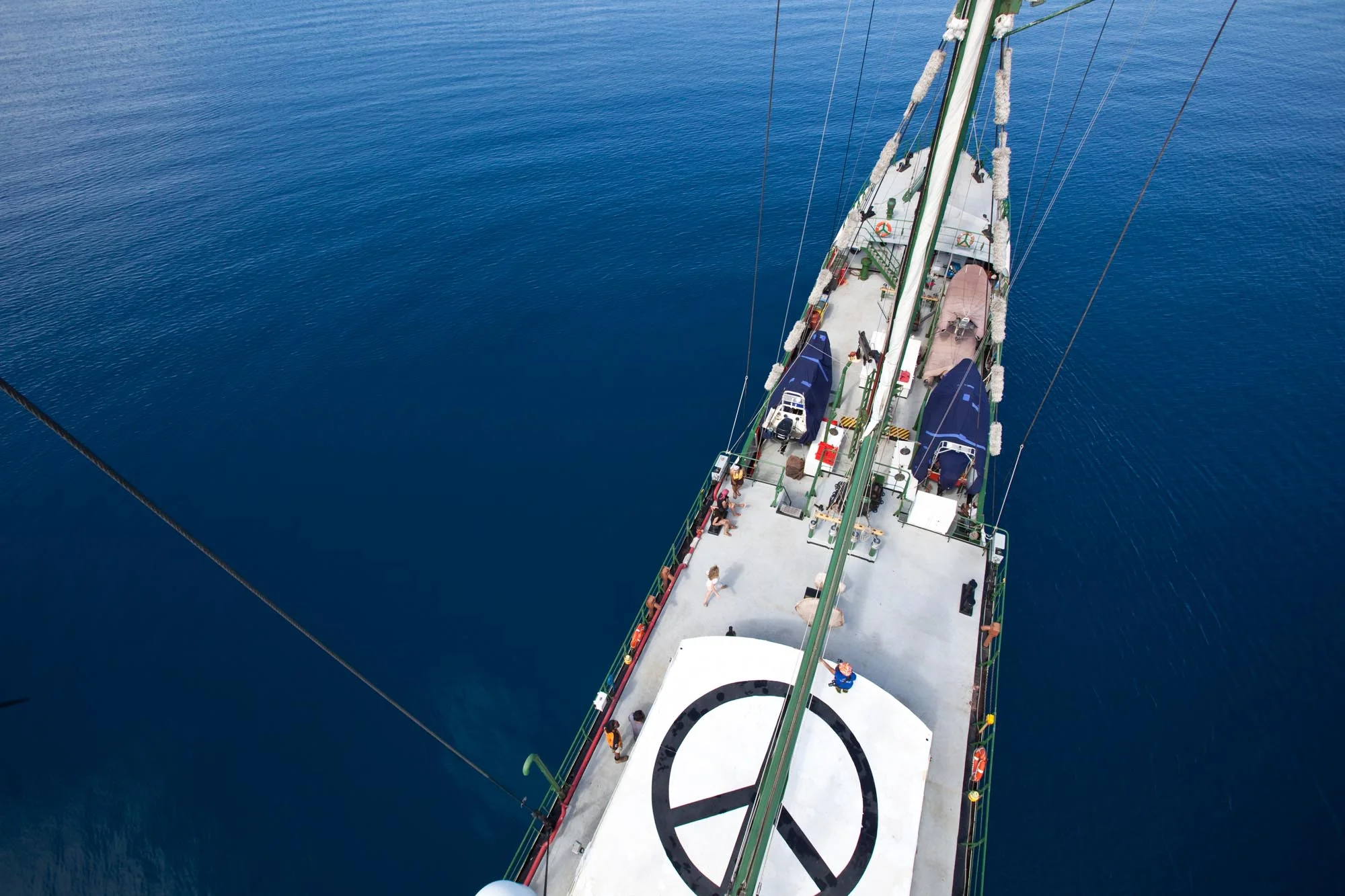Greenpeace12420_2010_ForWeb.jpg