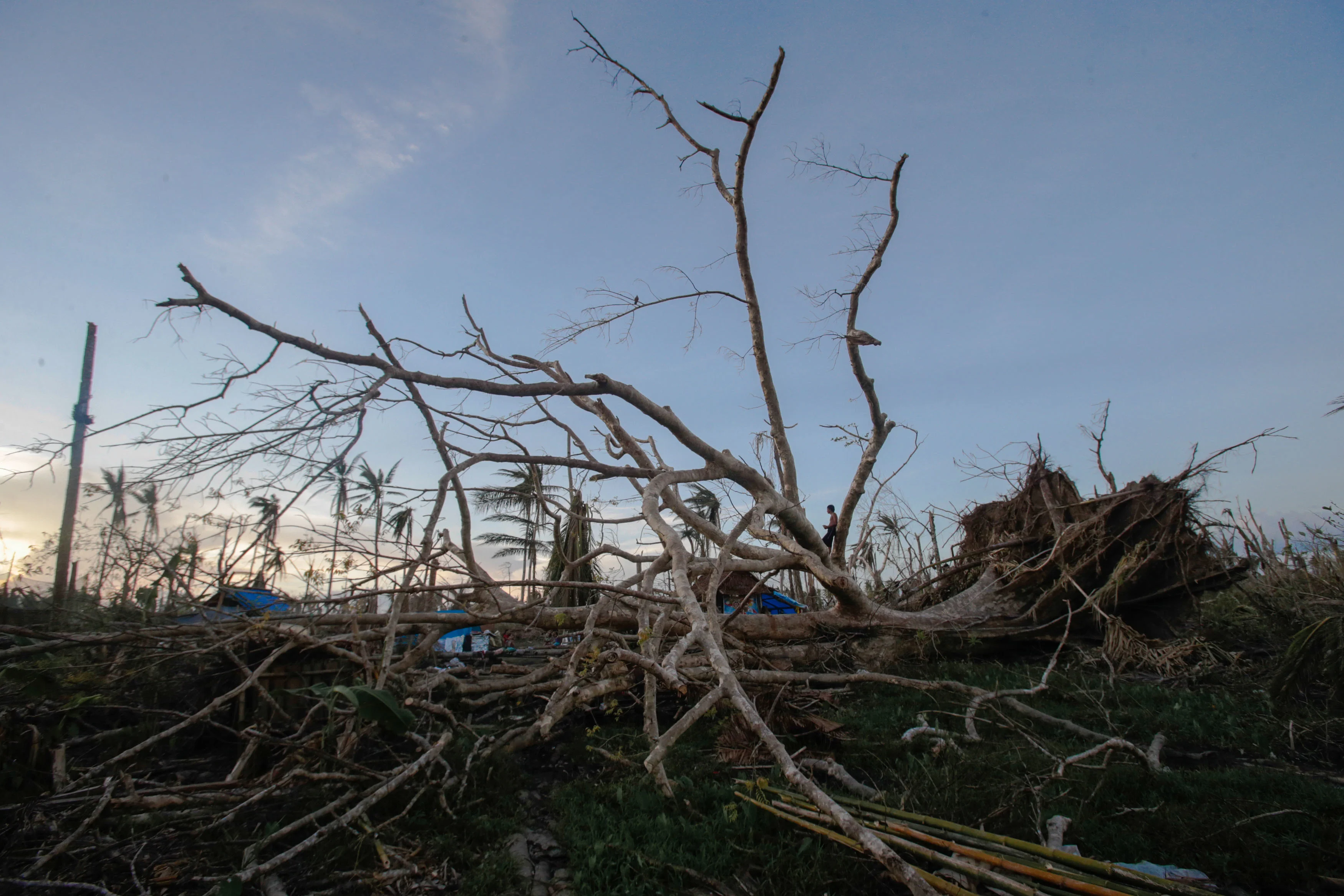 Haiyan's Strength