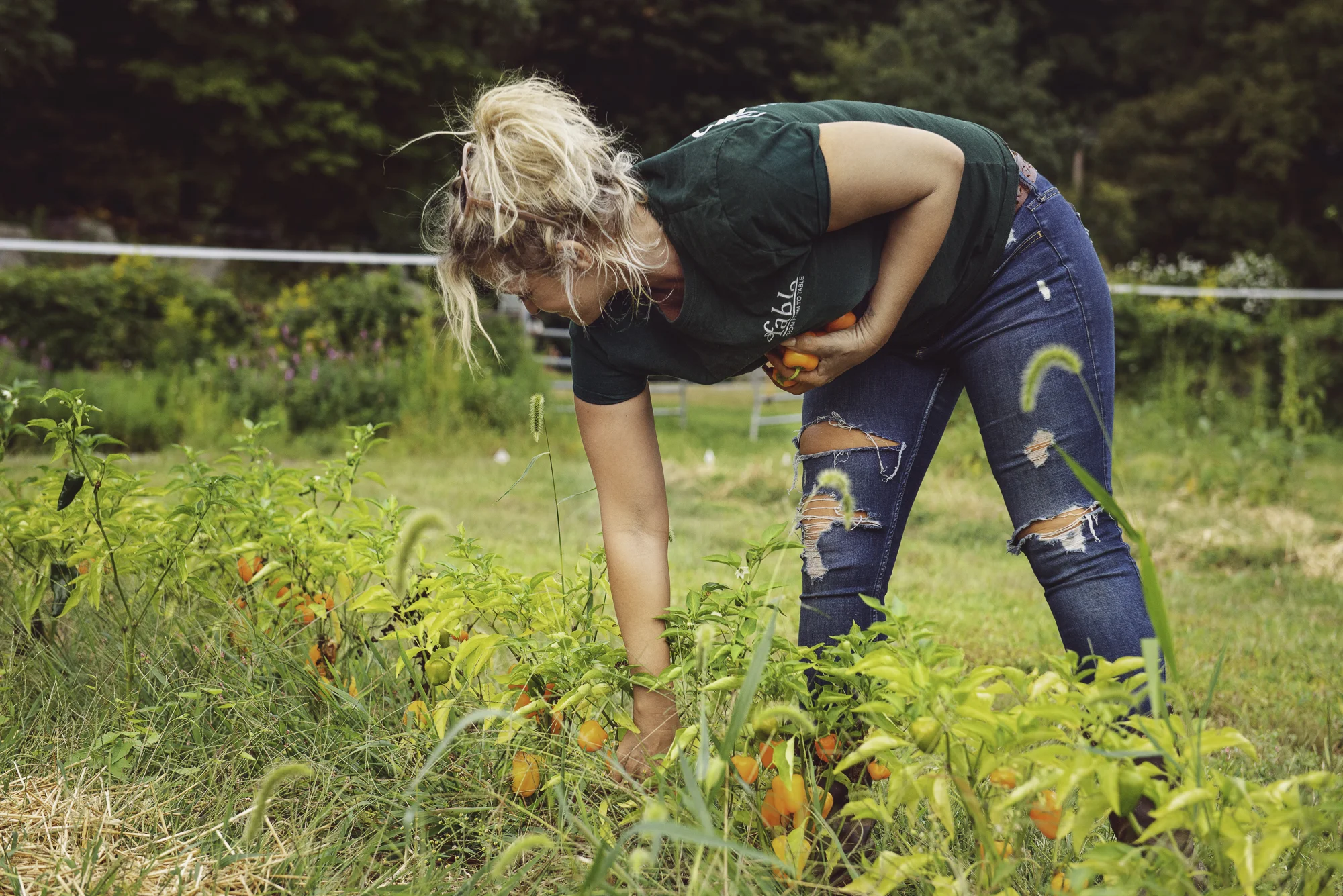 Farm-27.jpg