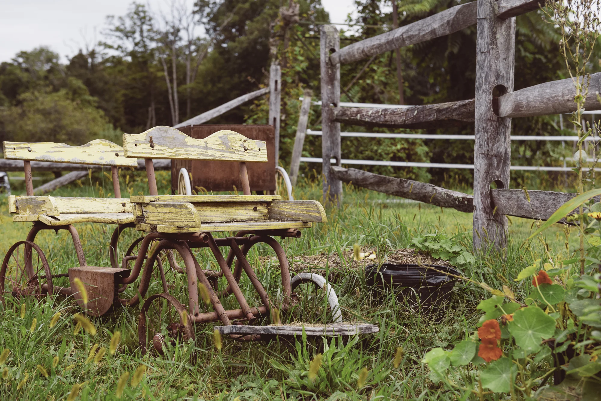 Farm-30.jpg