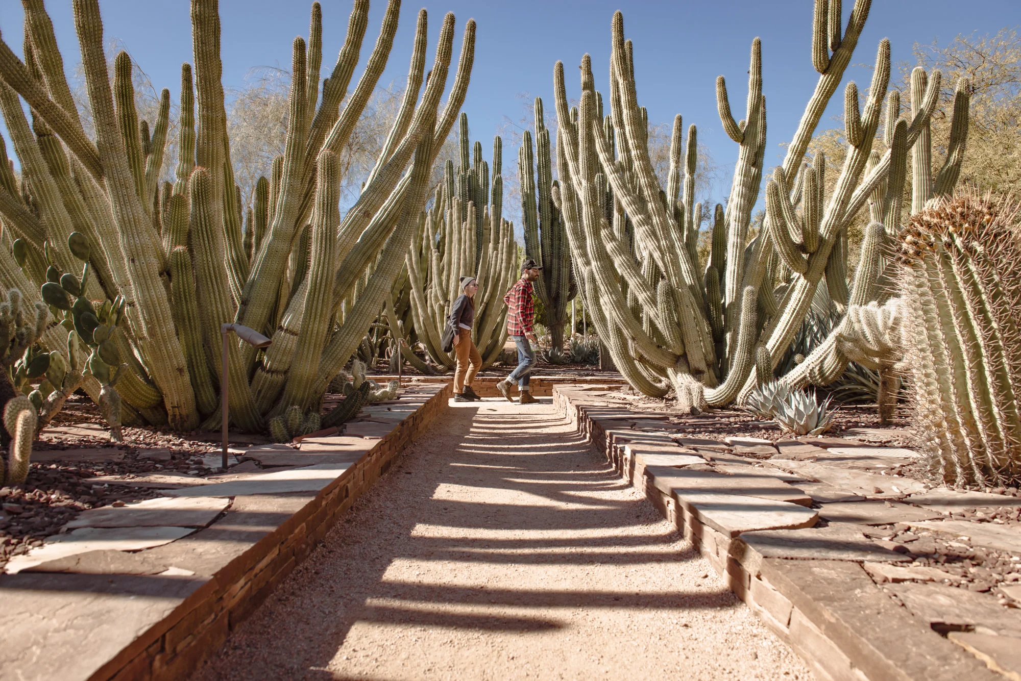 Arizona-16.jpg