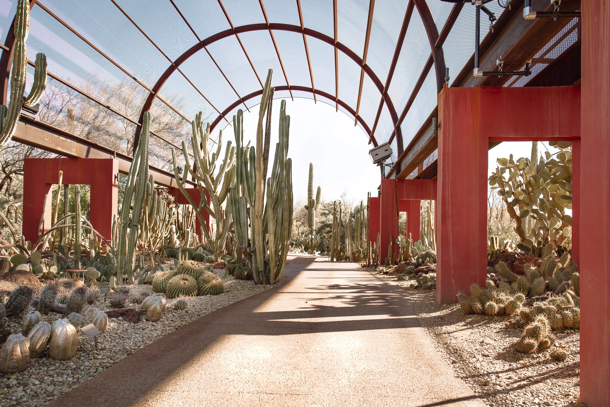 Arizona-1.jpg