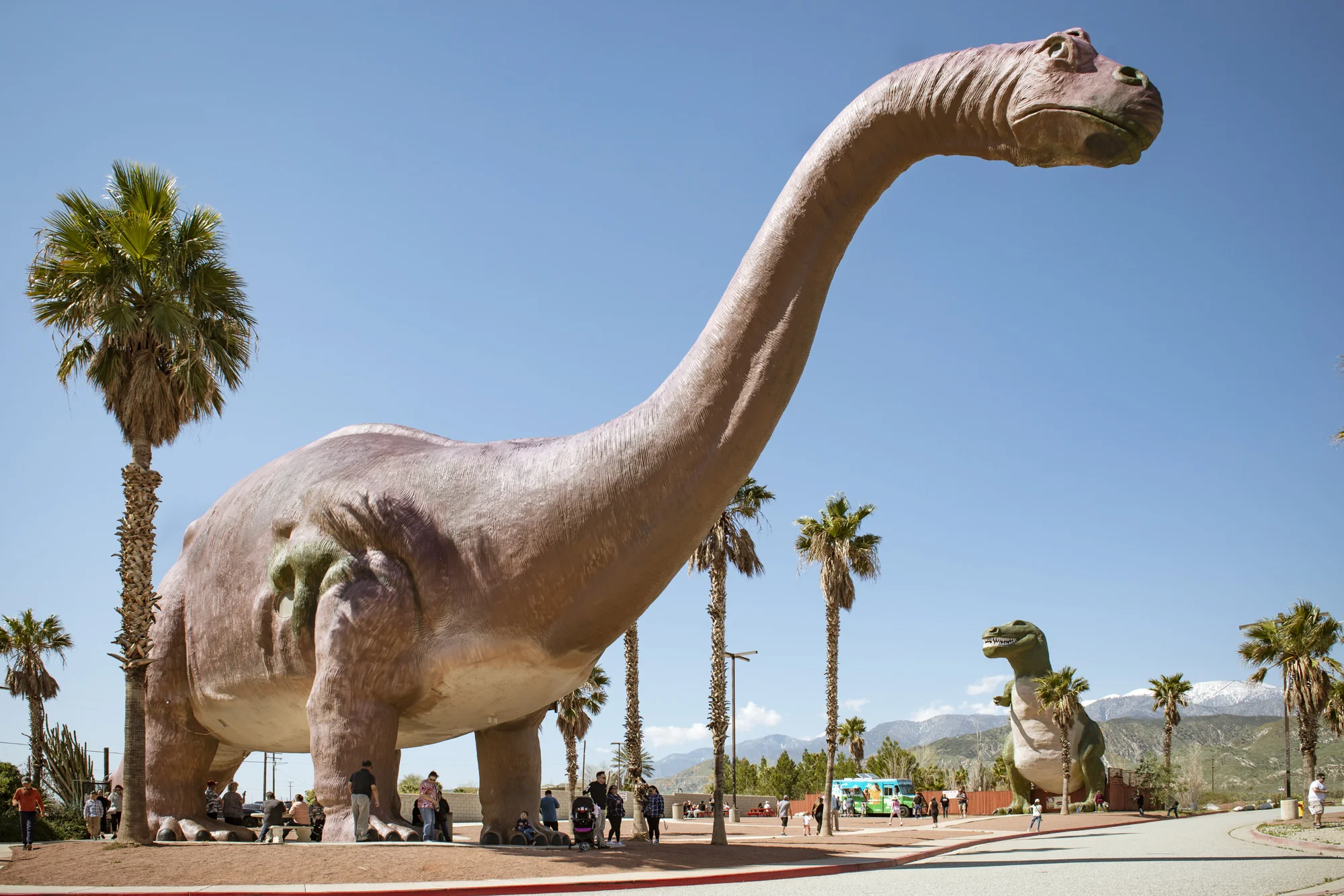 Palm Springs-1.jpg