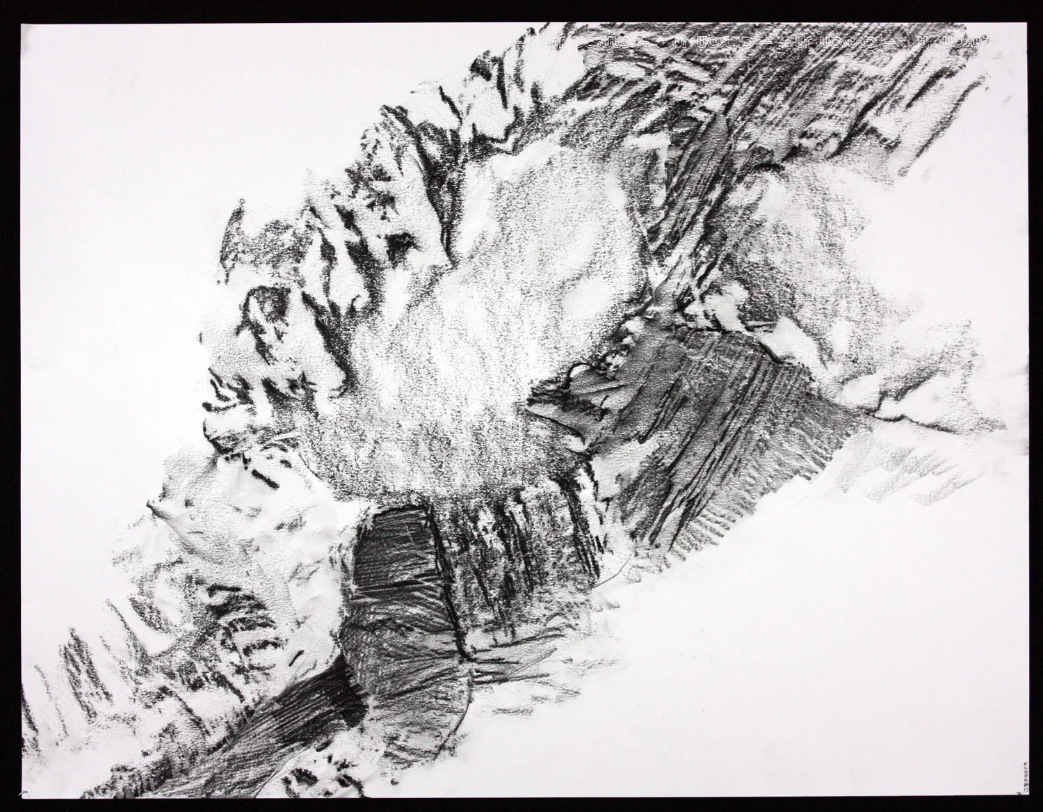 SCAPE Print 2 19.5" x 25.5" Graphite on Canson Dessin Paper
