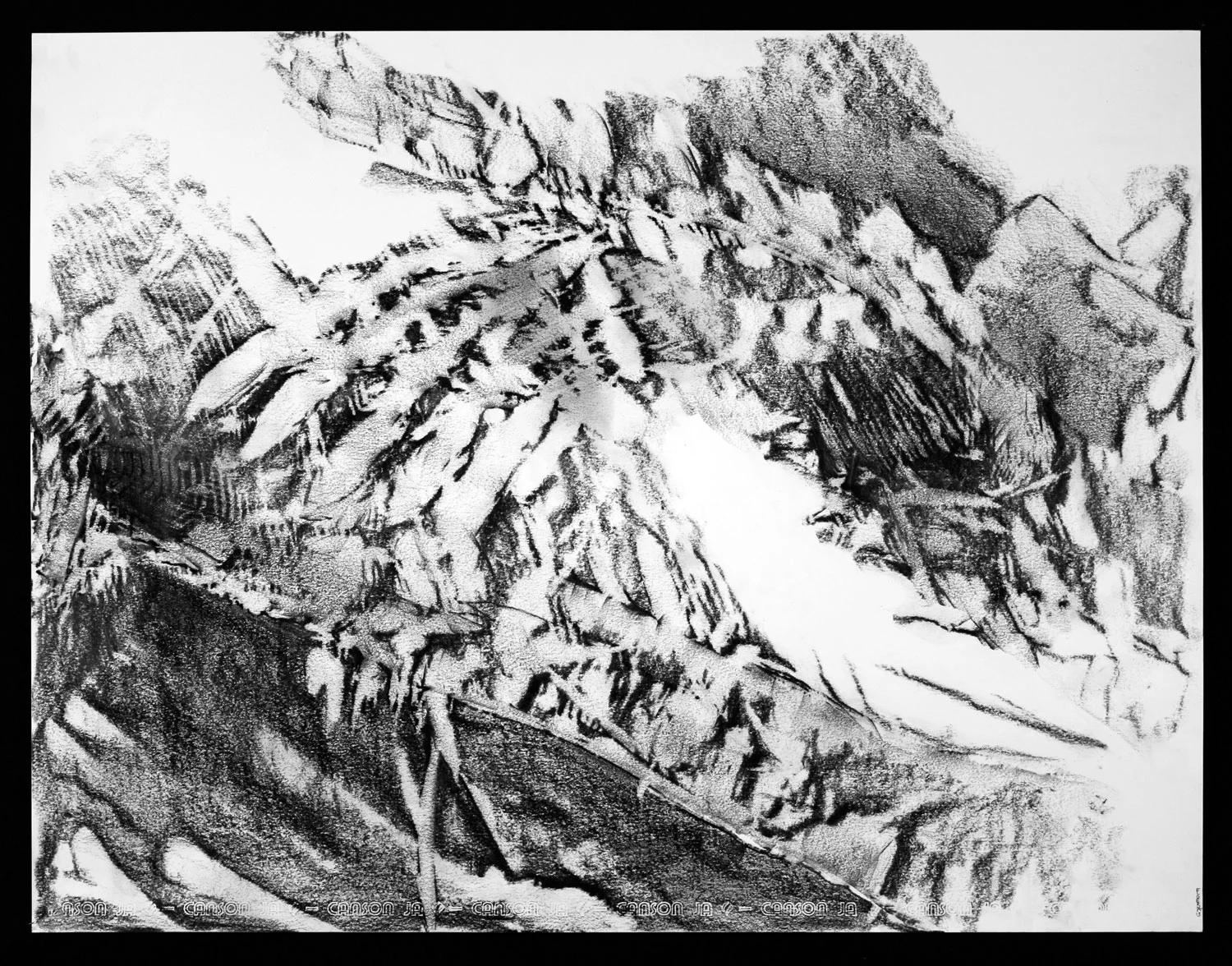 SCAPE Print 15 19.5" x 25.5" Graphite on Canson Dessin Paper