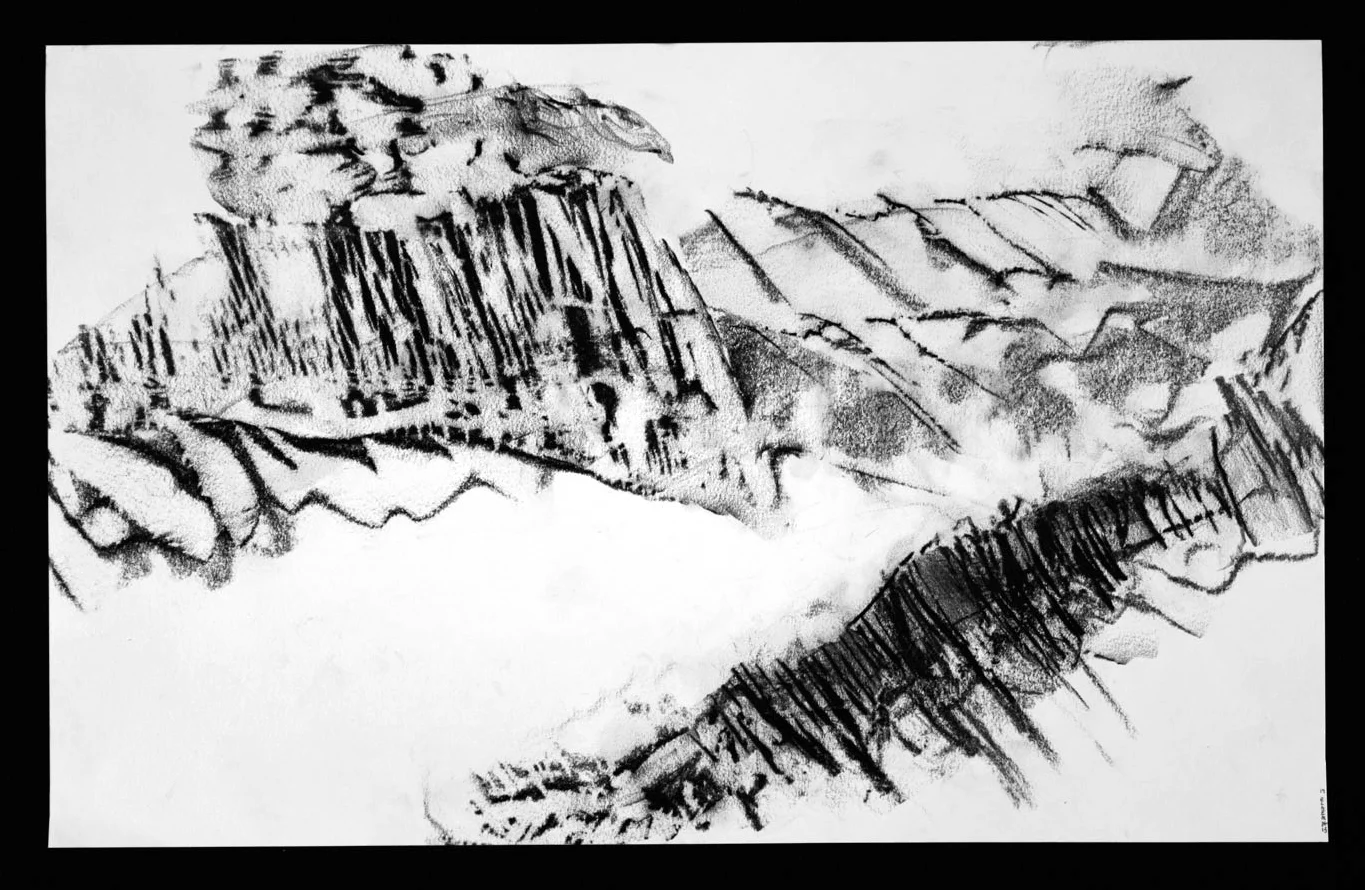 SCAPE Print 19 12" x 24" Graphite on Strathmore paper