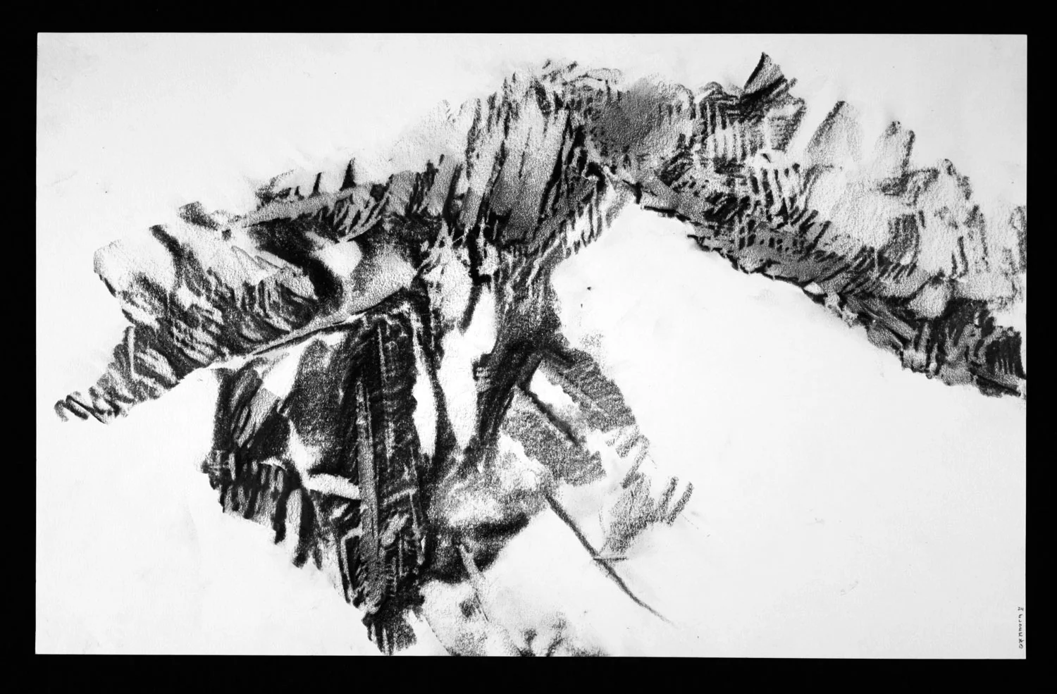 SCAPE Print 24 12" x 24" Graphite on Strathmore paper