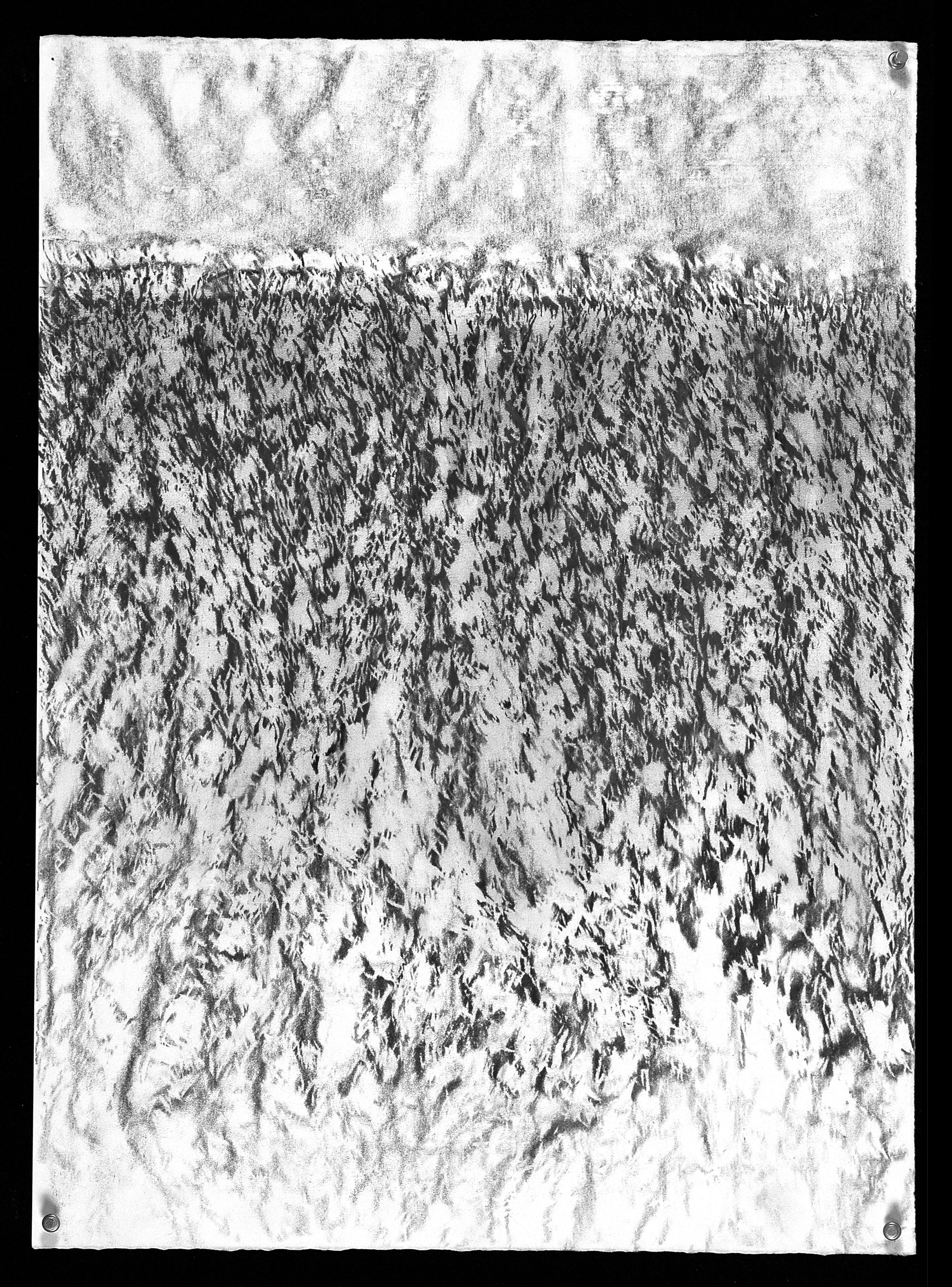 S.D. 81 - 19.5x25.5 -(Canson Dessin) 2014.jpg