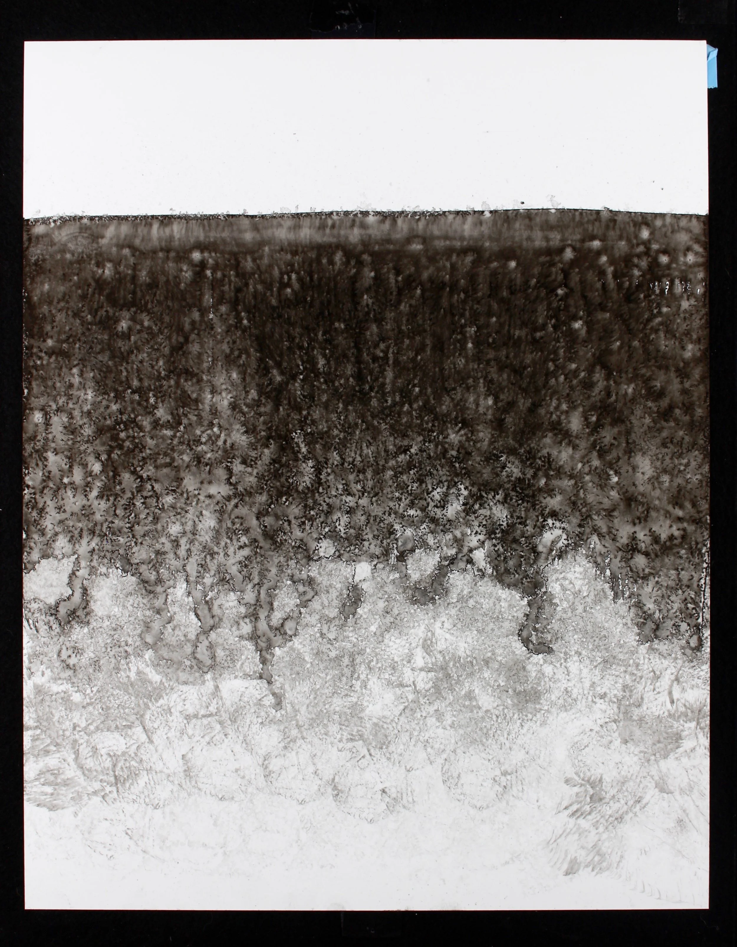 SCAPE 11%22 x 14%22 #45.jpg