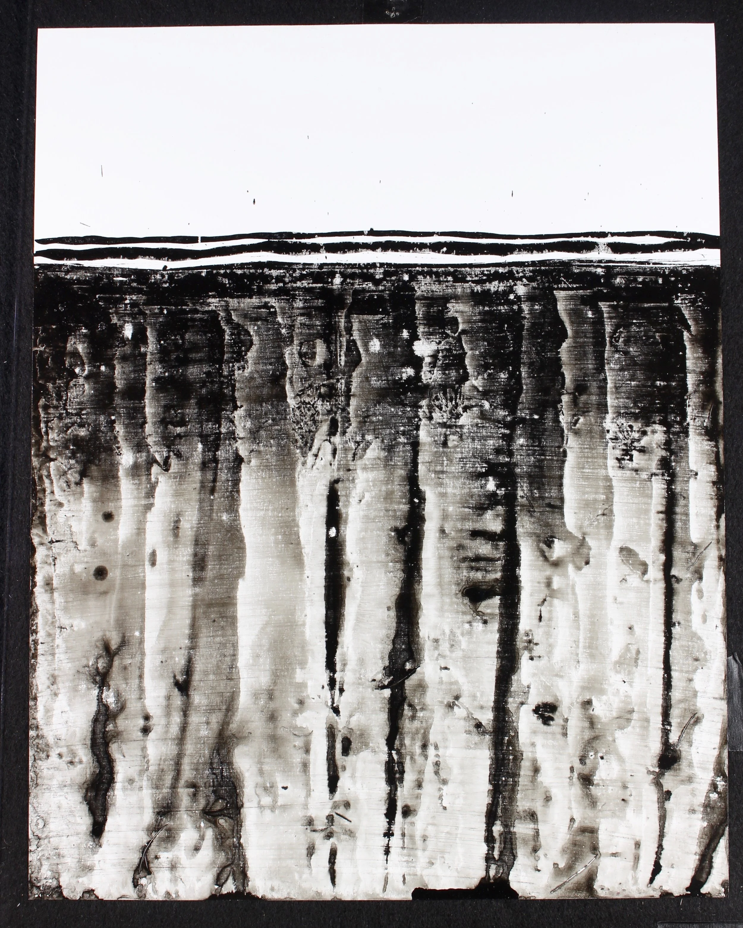 SCAPE 11%22 x 14%22 #111.jpg