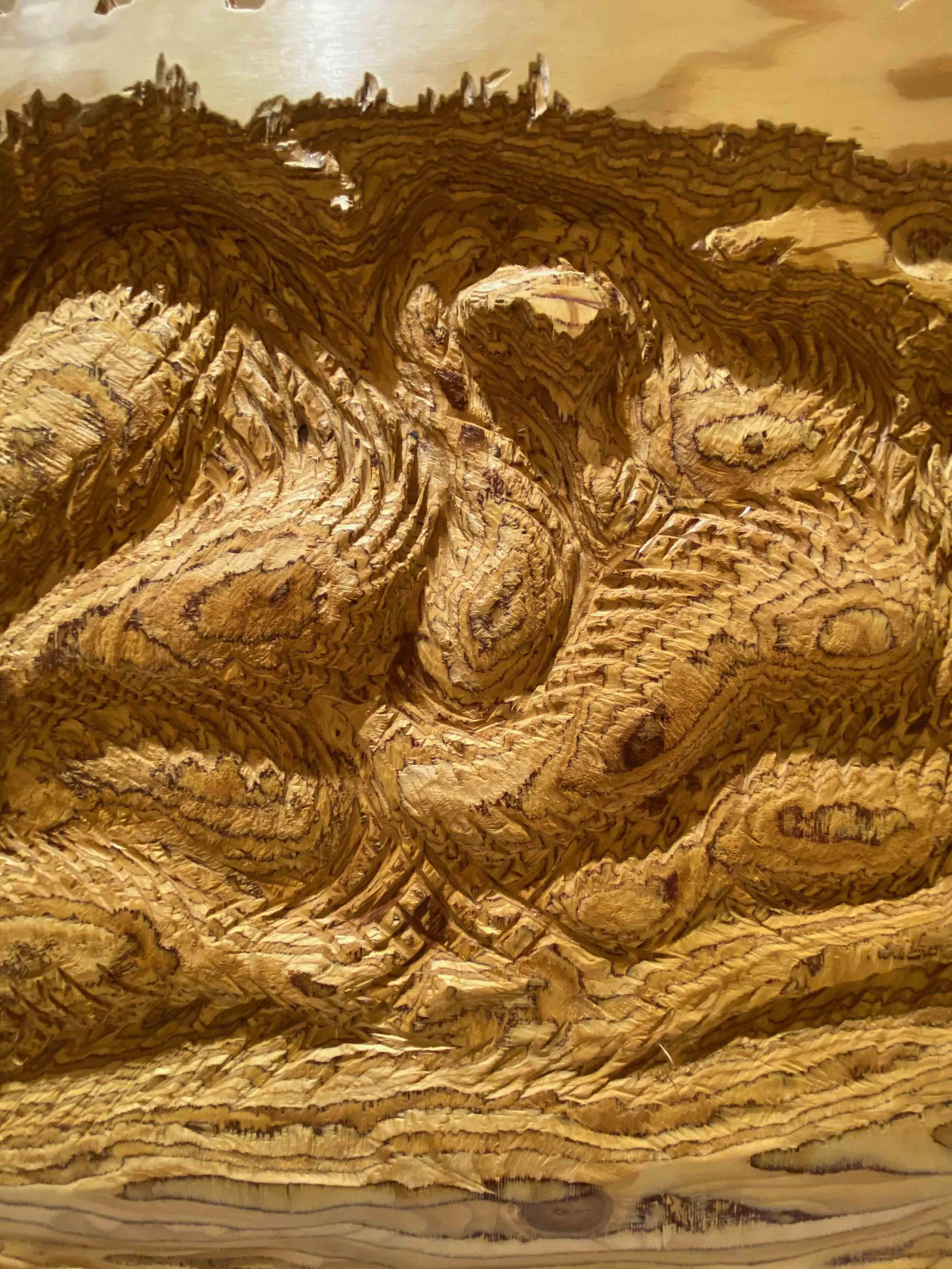 OKecoSCAPE Detail.jpg