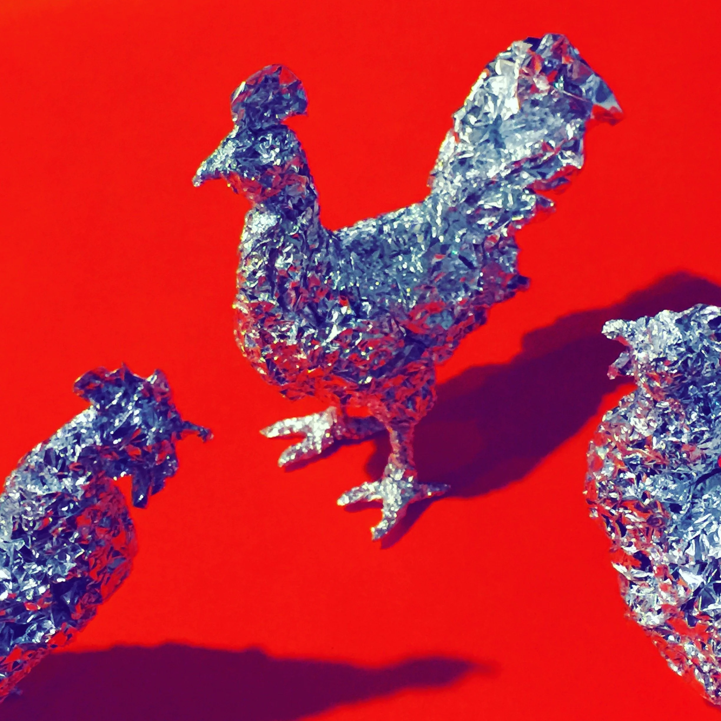 Animals Chicken Red blue sq.JPG