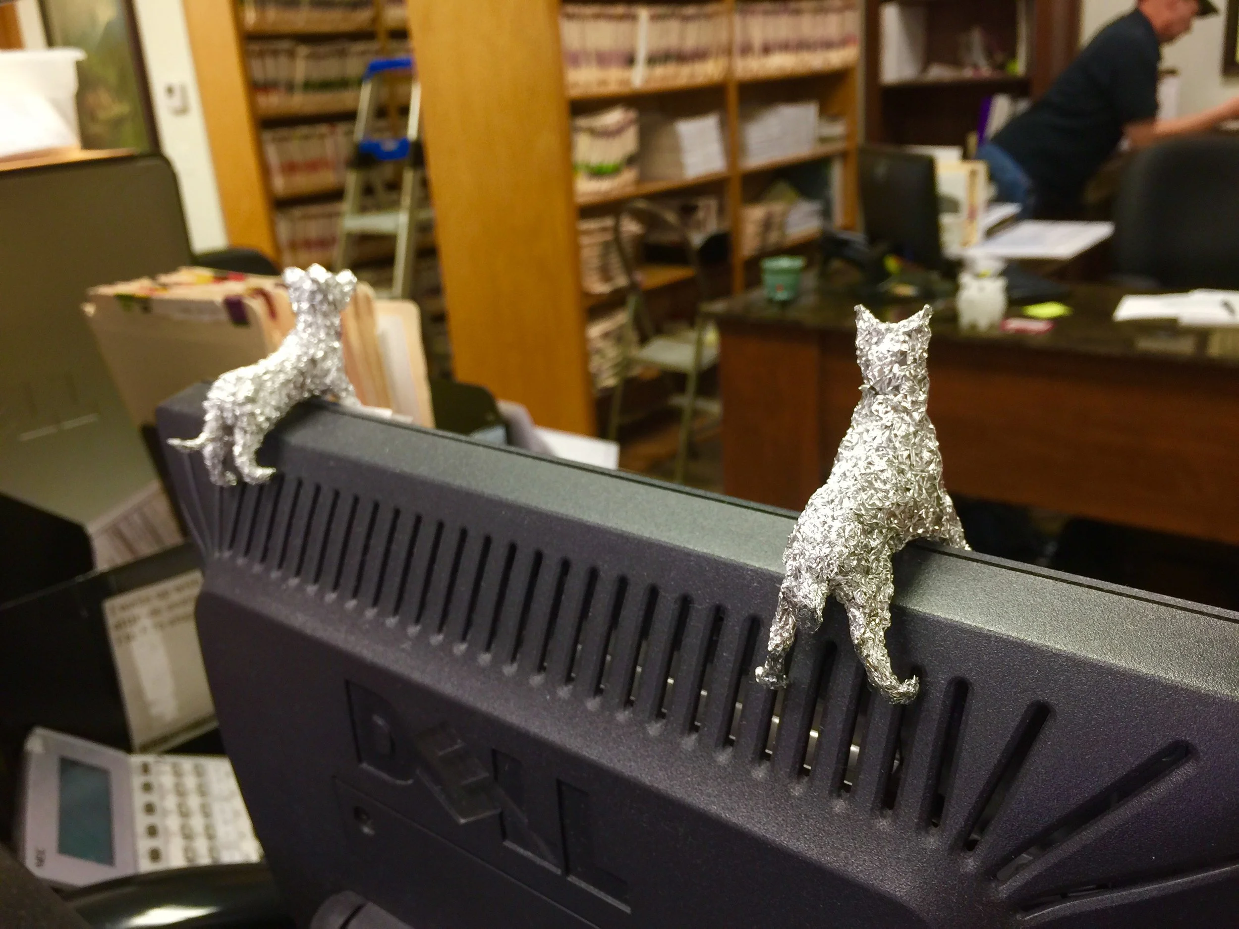 9. Dentist Cats on Computer screen.jpg