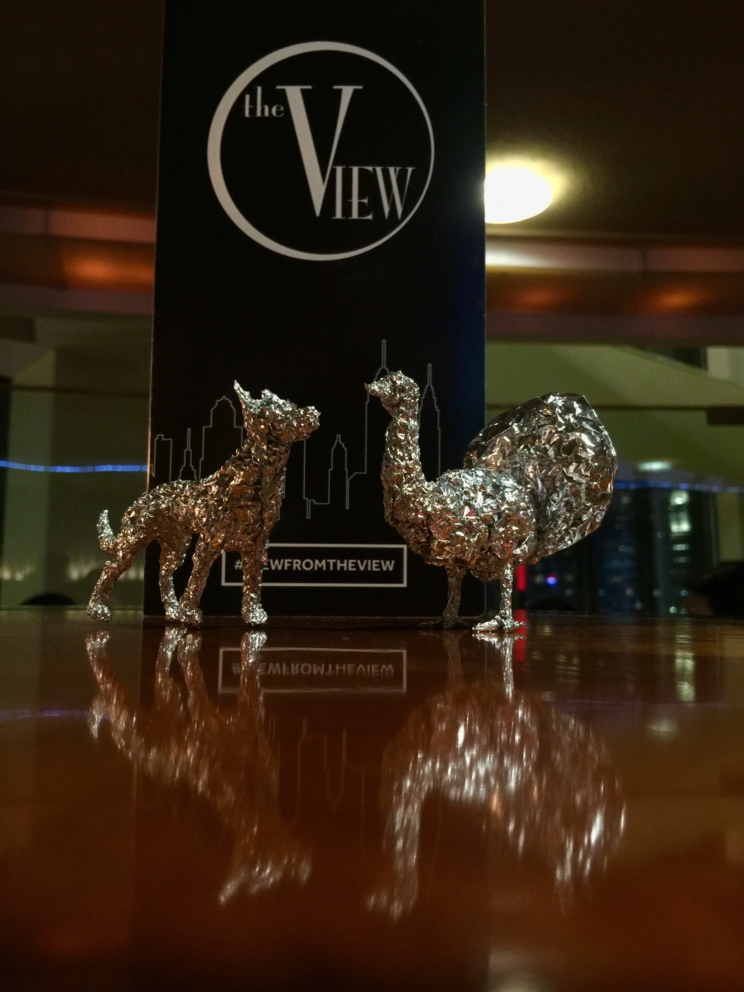 9. Dog and Bird View CHI.jpg