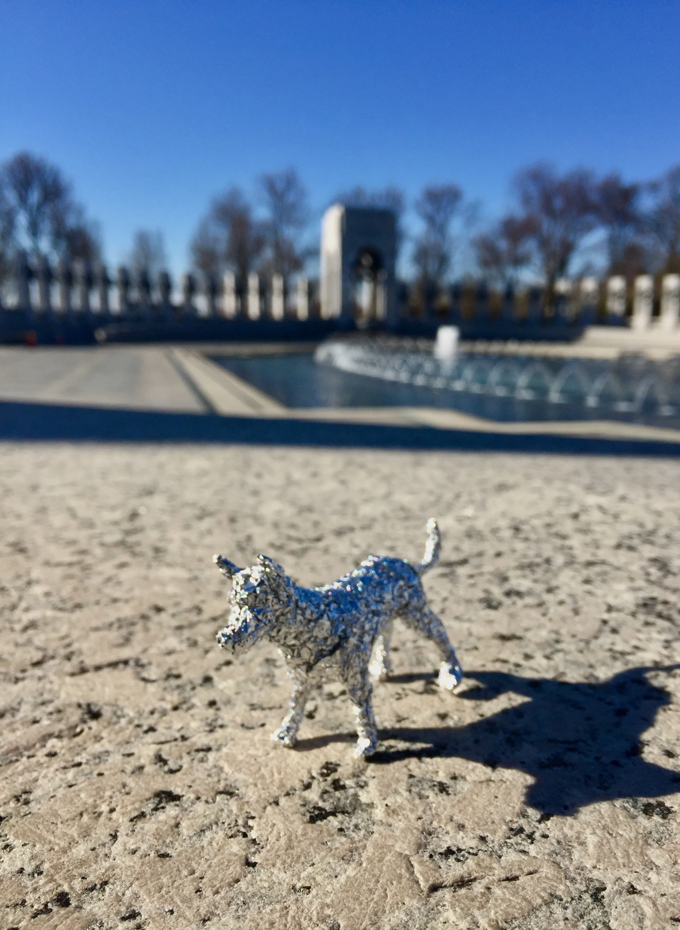 9. Dog DC Monument.jpg