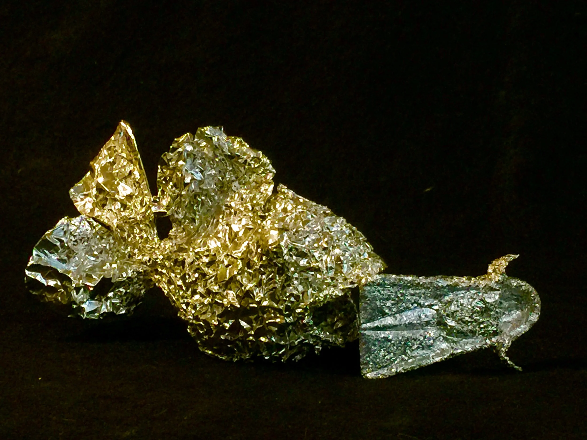 Fish and swim fin Black.jpg