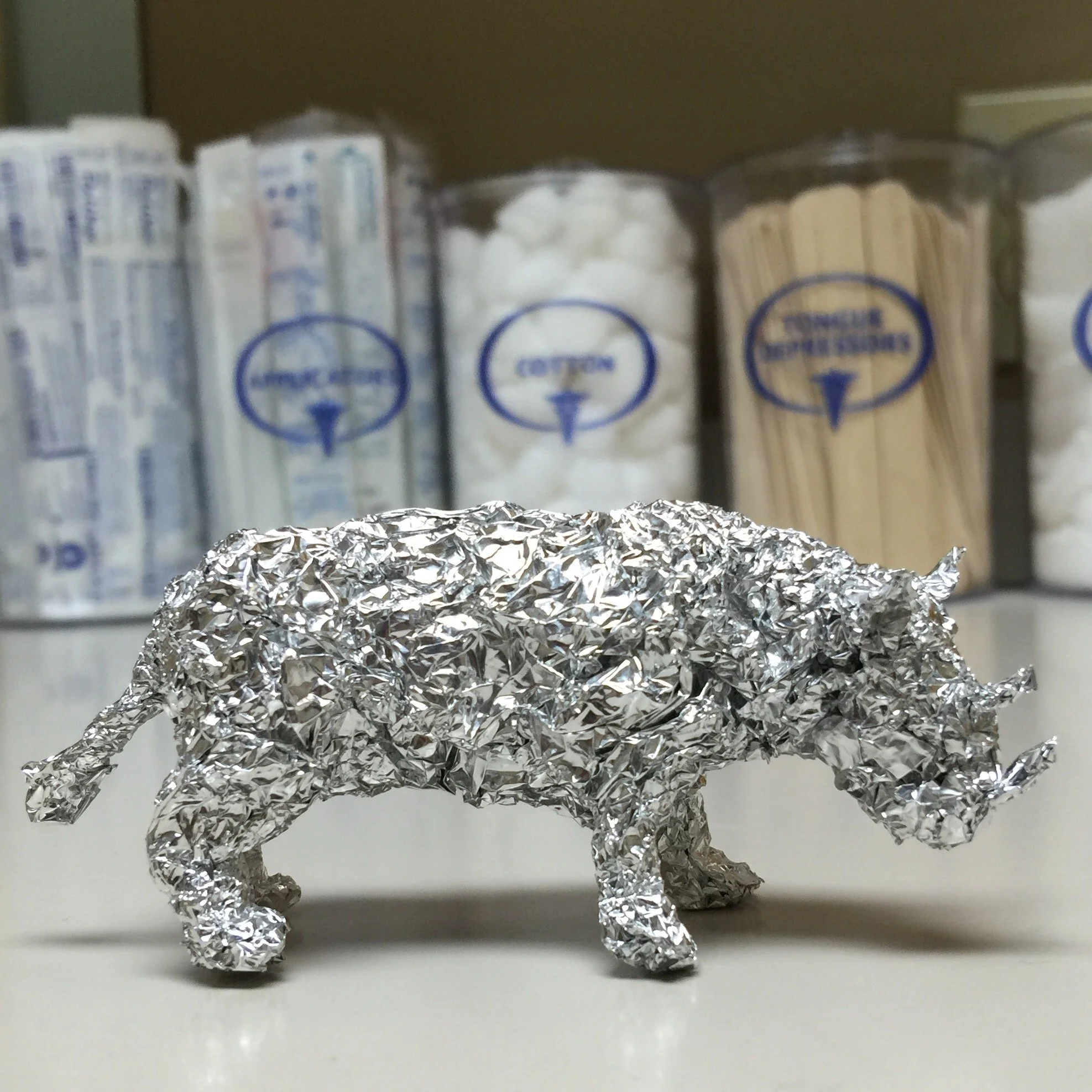 9. Rhino Doctors office.jpg