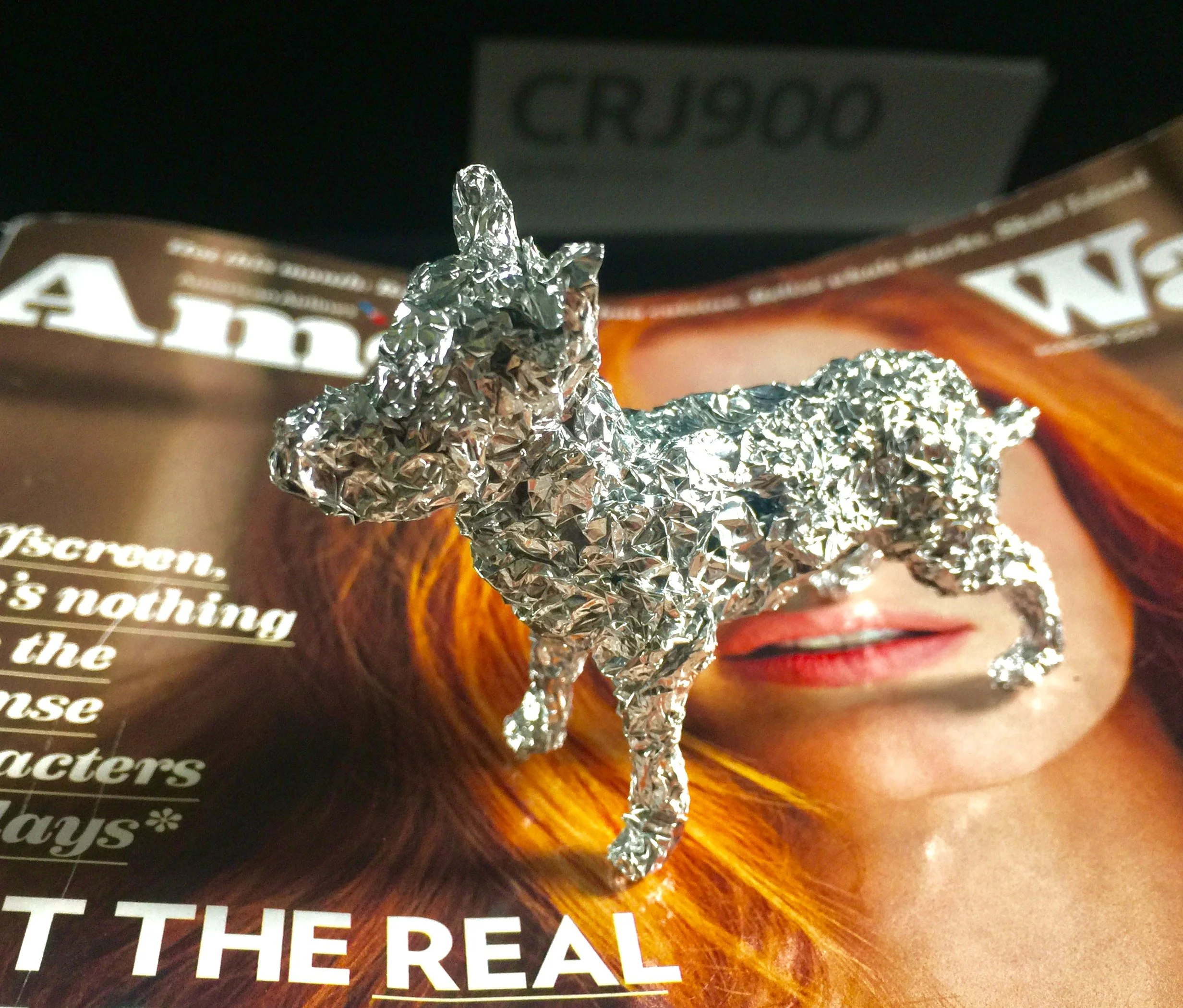 9. Dog Airline mag.jpg