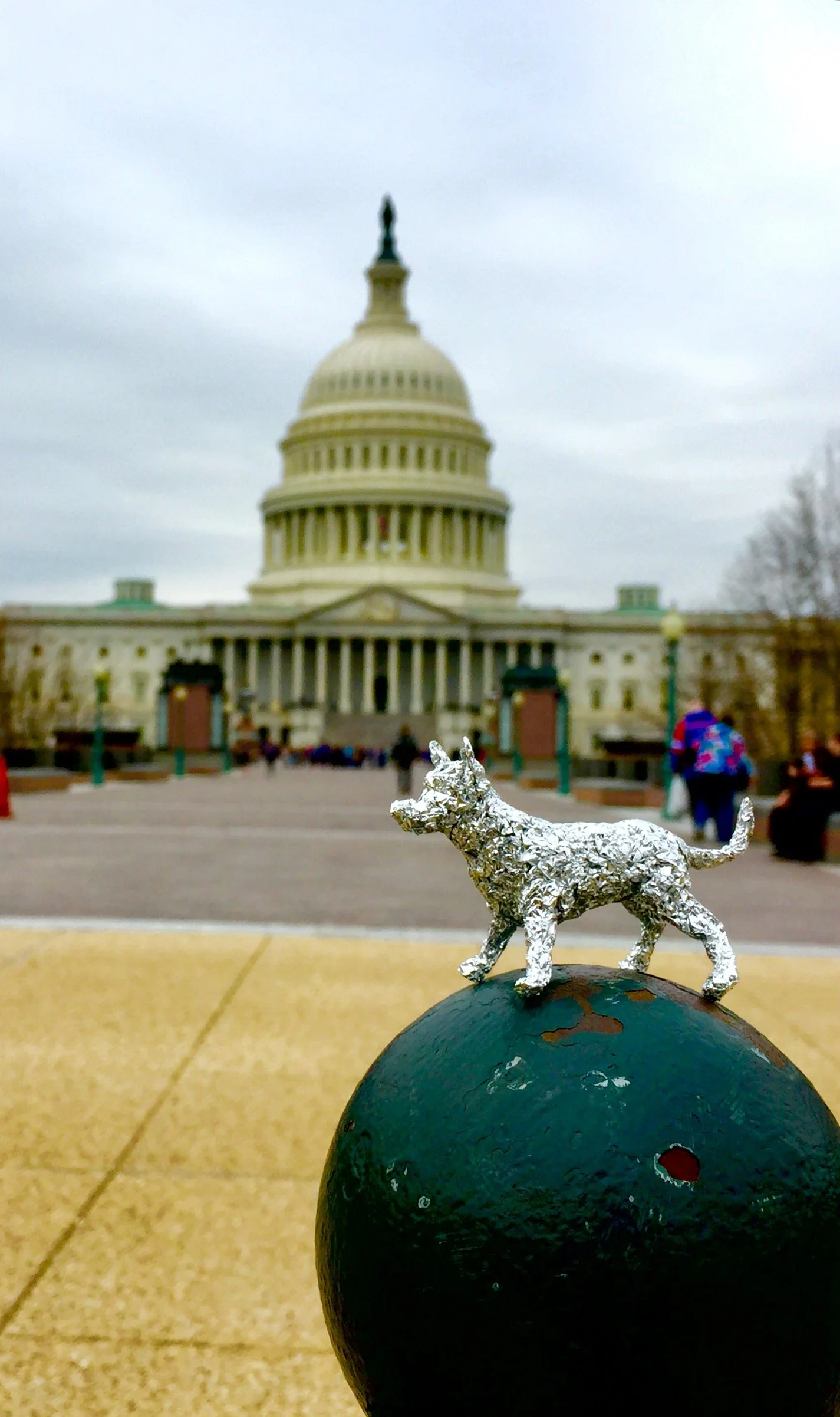 9. Dog Capitol DCFullSizeRender 13.jpg