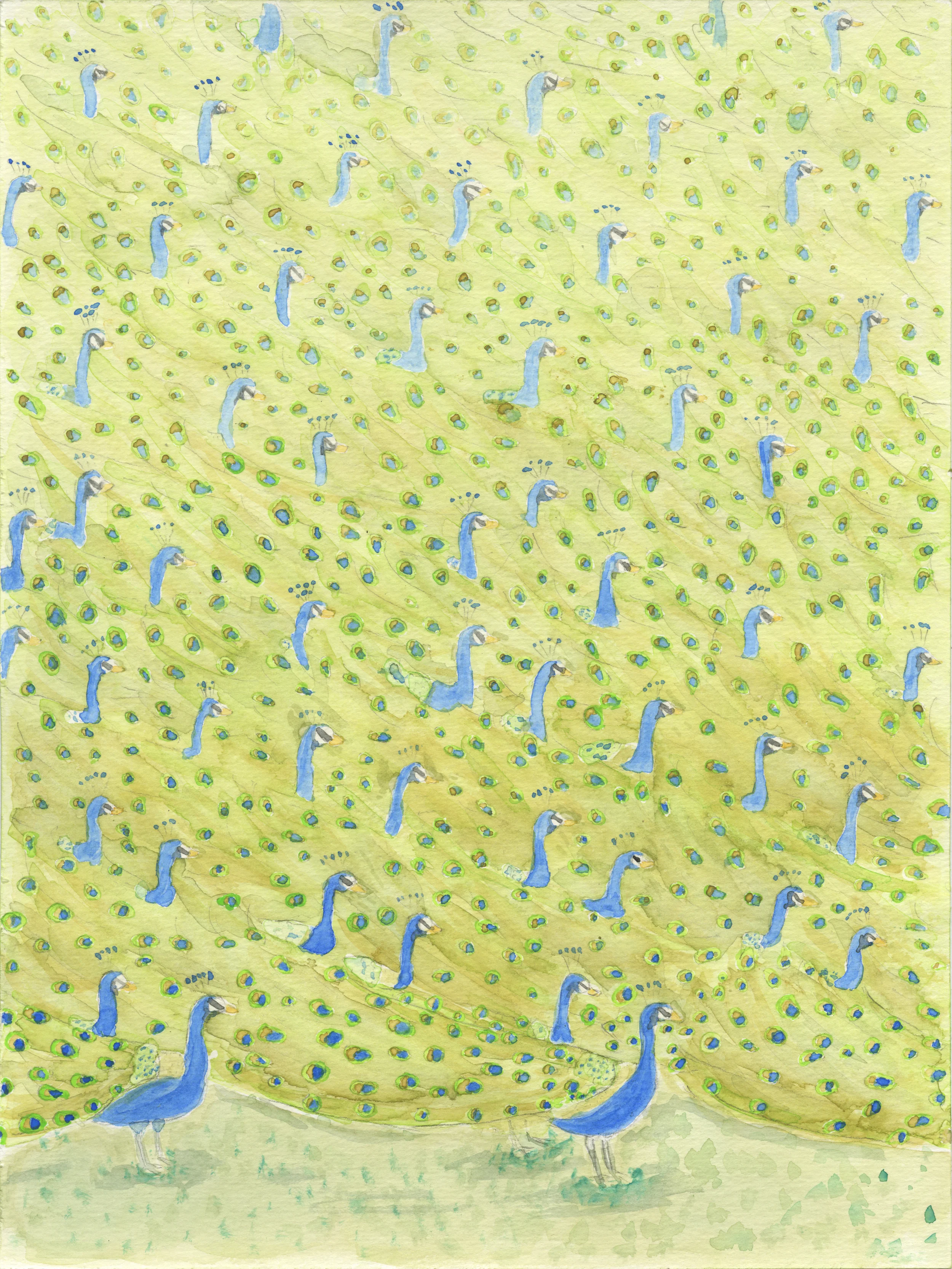 Peacocks, 2014 watercolor on paper