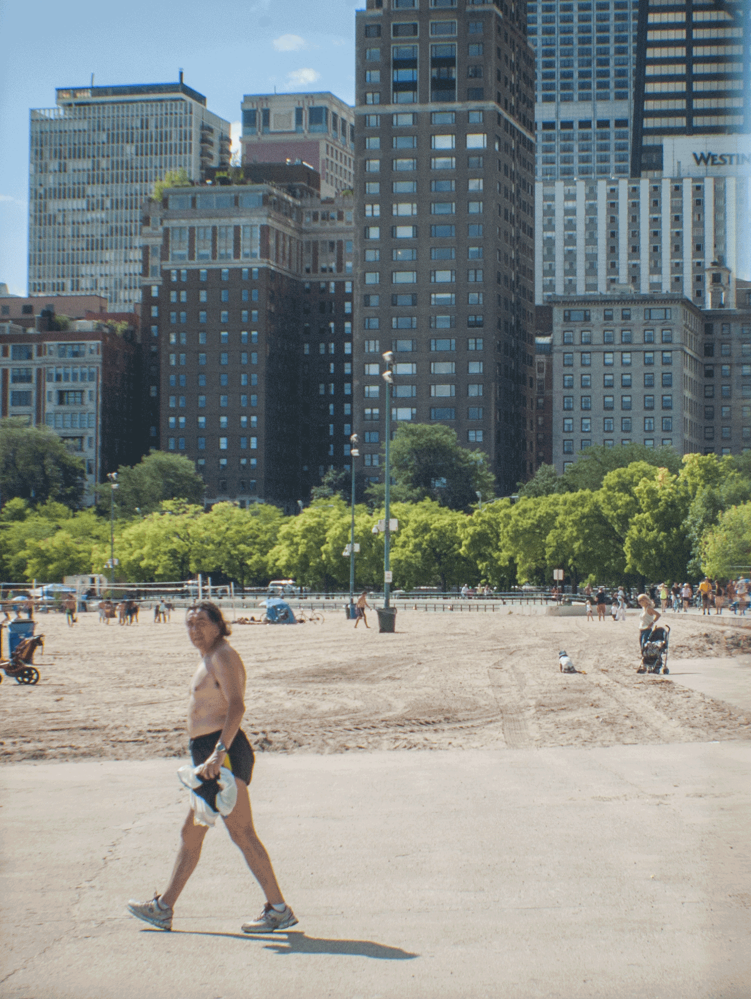 2013-09-4D-export-7.gif