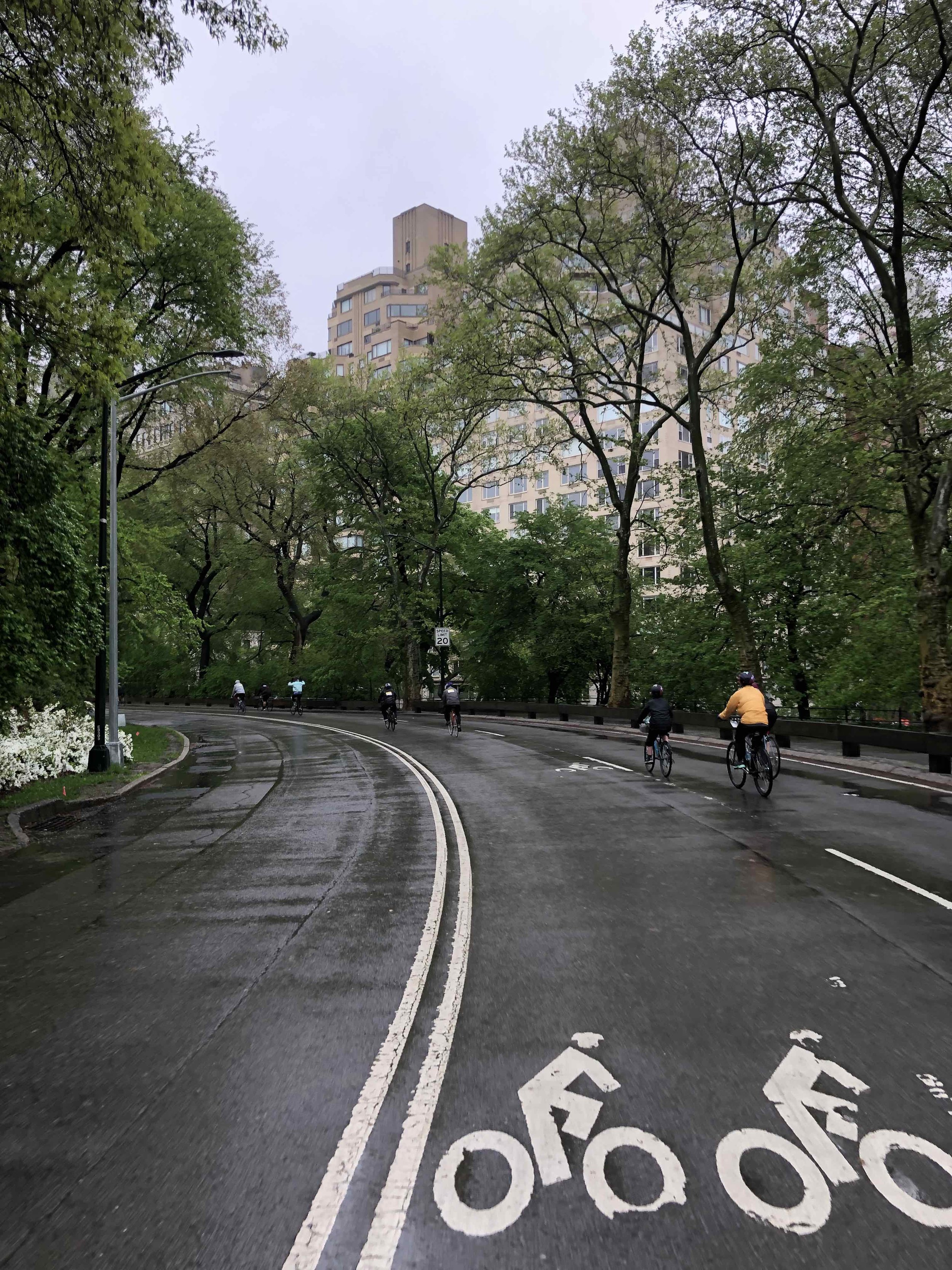 Central Park was nice!
