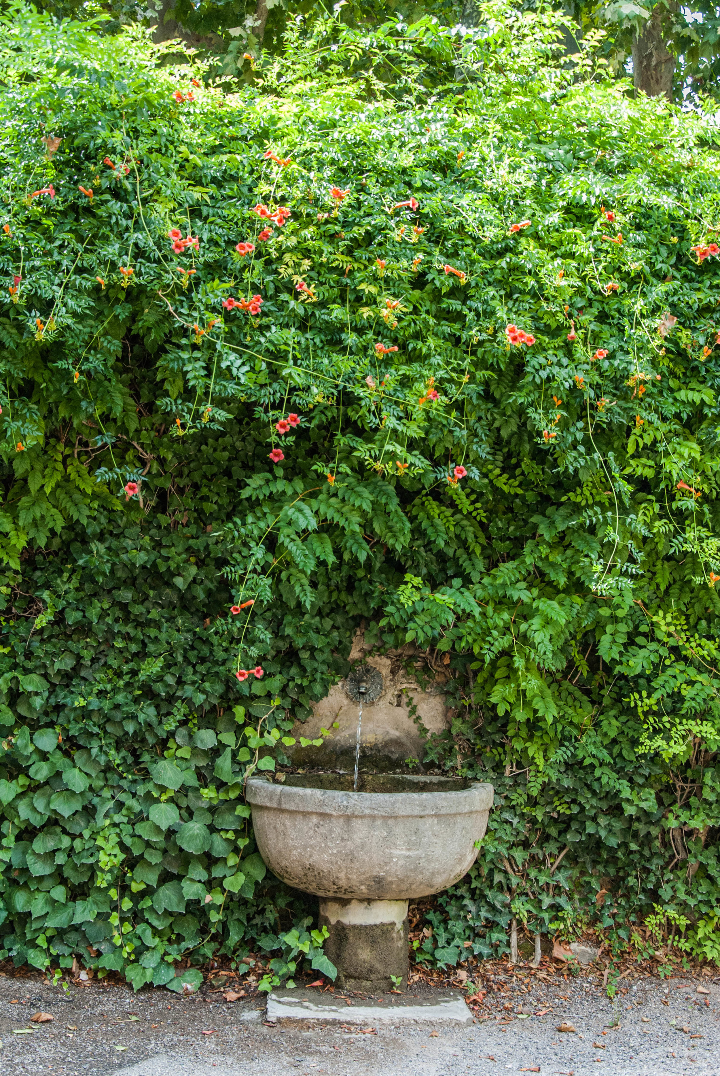 The most charming water fountain I’ve seen.