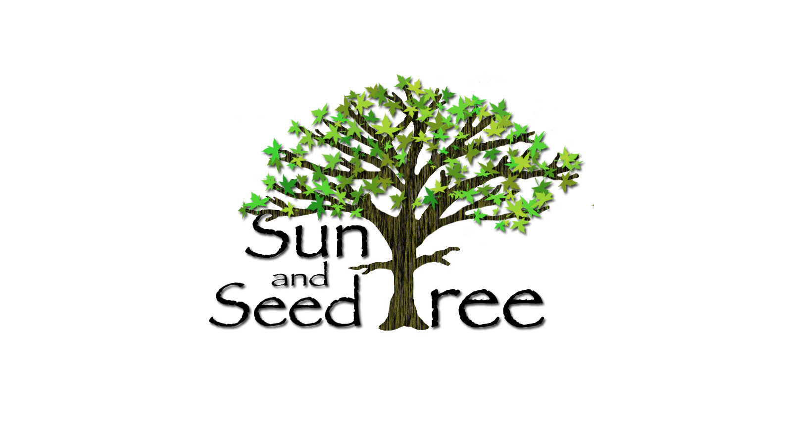 Sun and Seed Tree Logo Sample.png