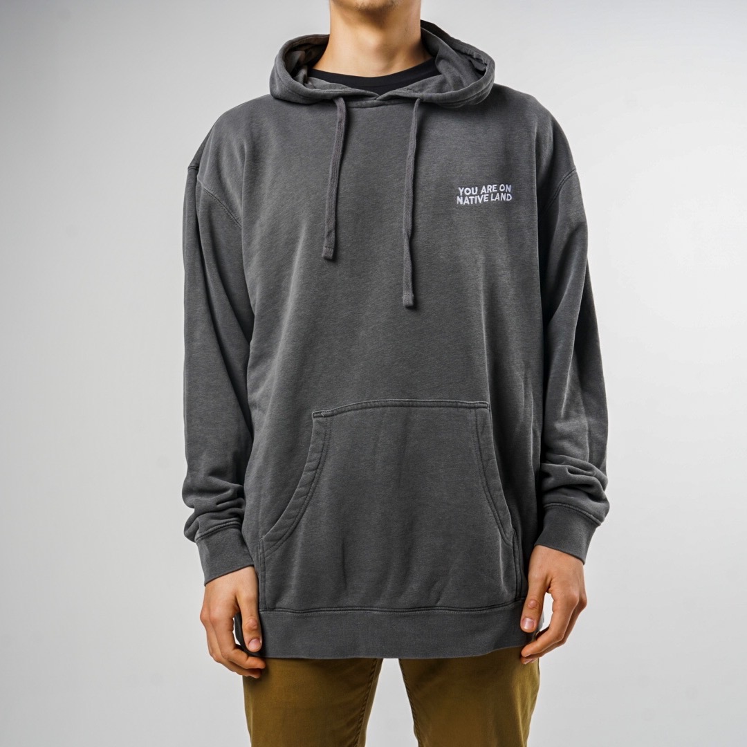 ALPINEBLACK_HOODIE.jpeg