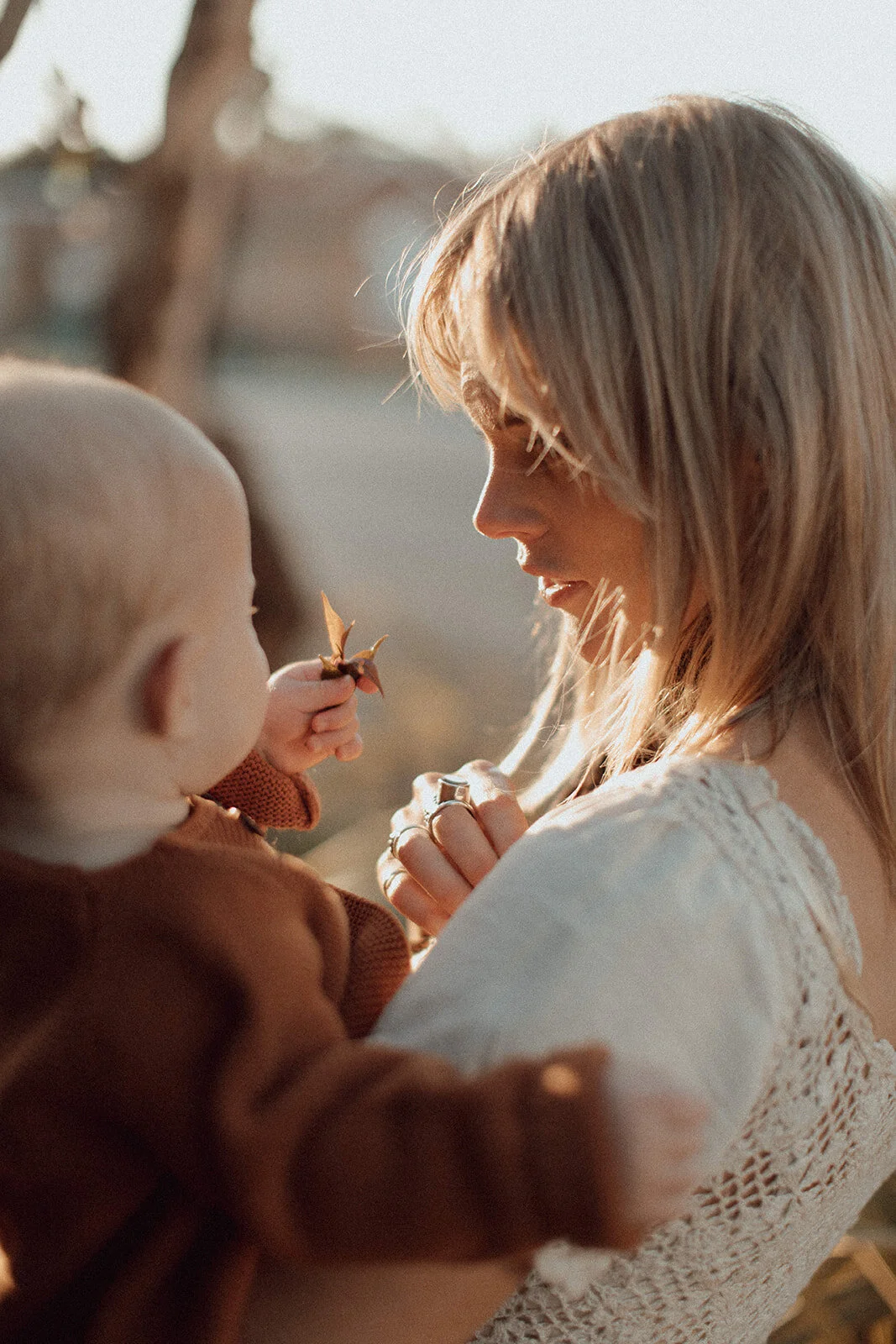 Lauren Anne Photography