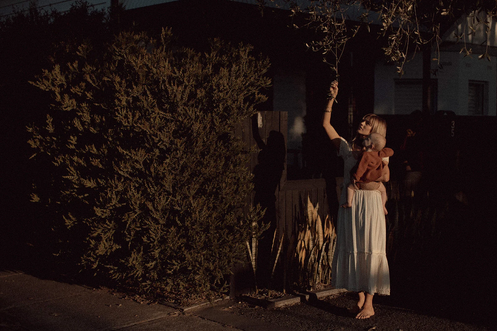 Lauren Anne Photography